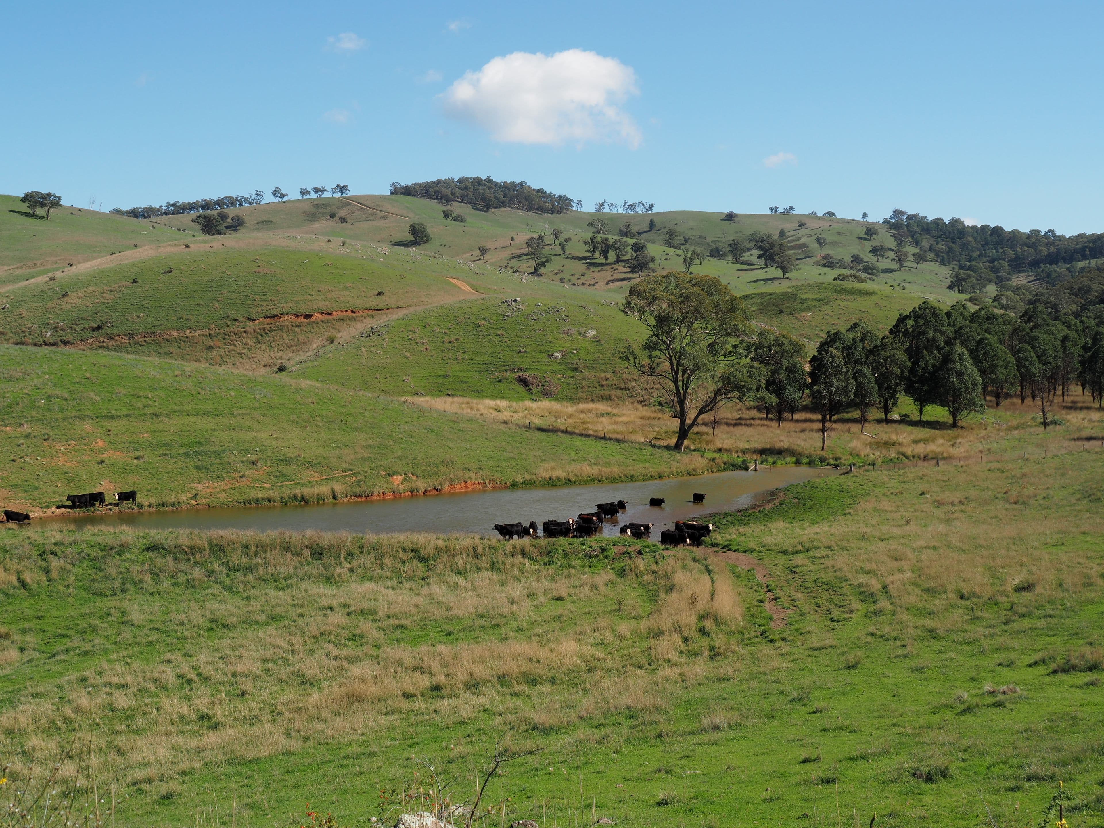 Palmers Oaky NSW 2795, Palmers Oaky - Thumbnail 2