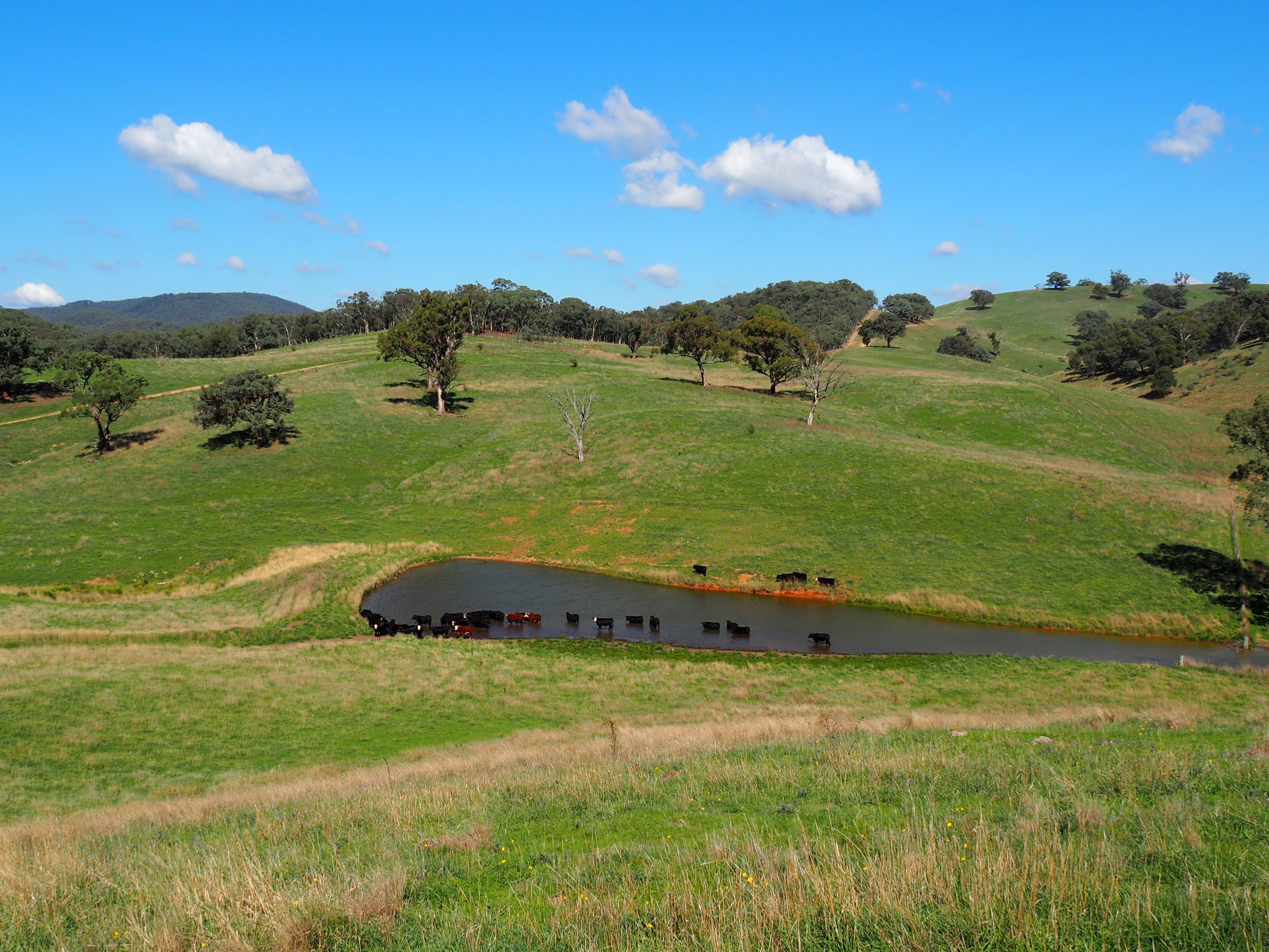 Palmers Oaky NSW 2795, Palmers Oaky - Thumbnail 4