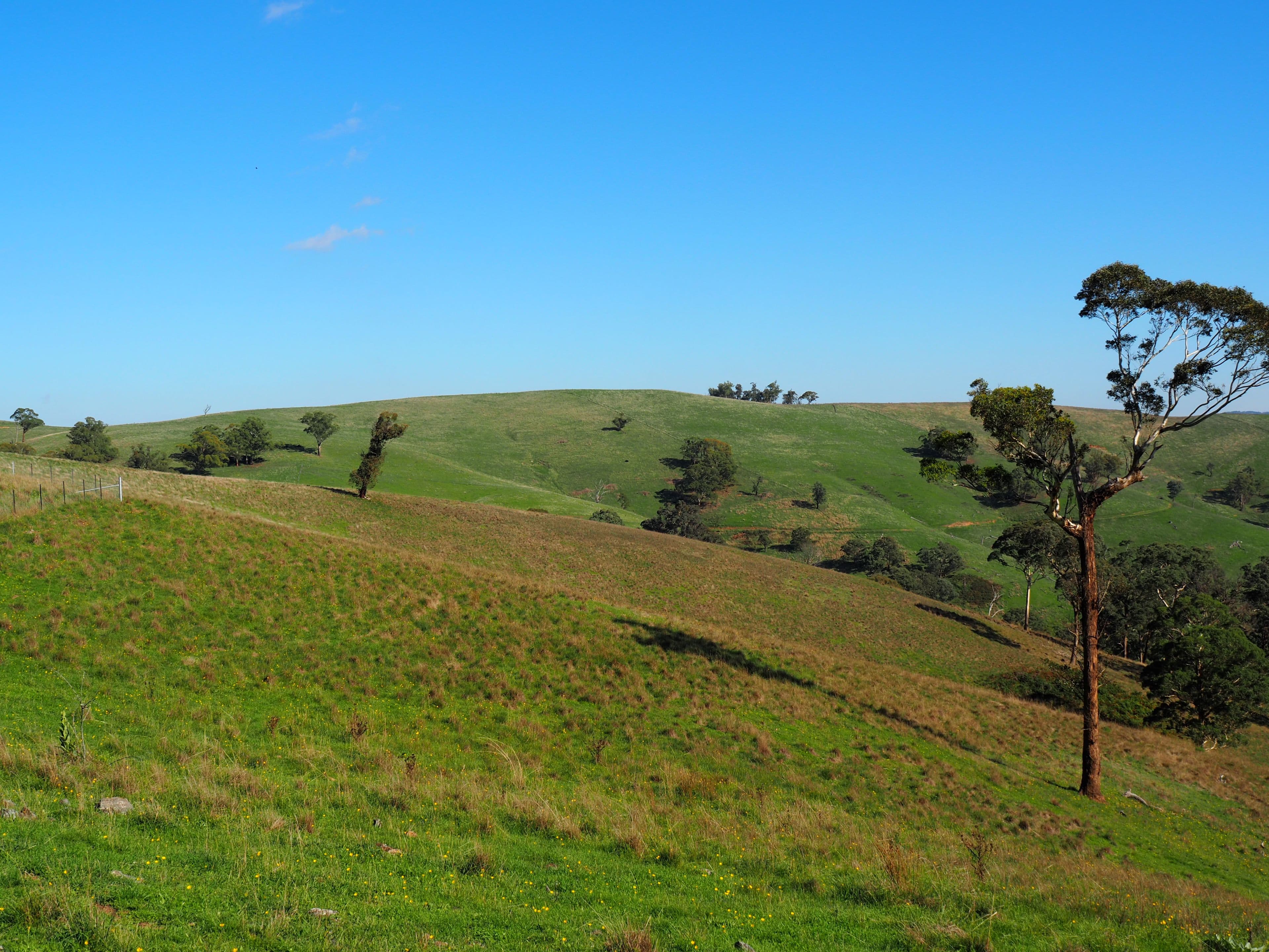 Palmers Oaky NSW 2795, Palmers Oaky - Thumbnail 6