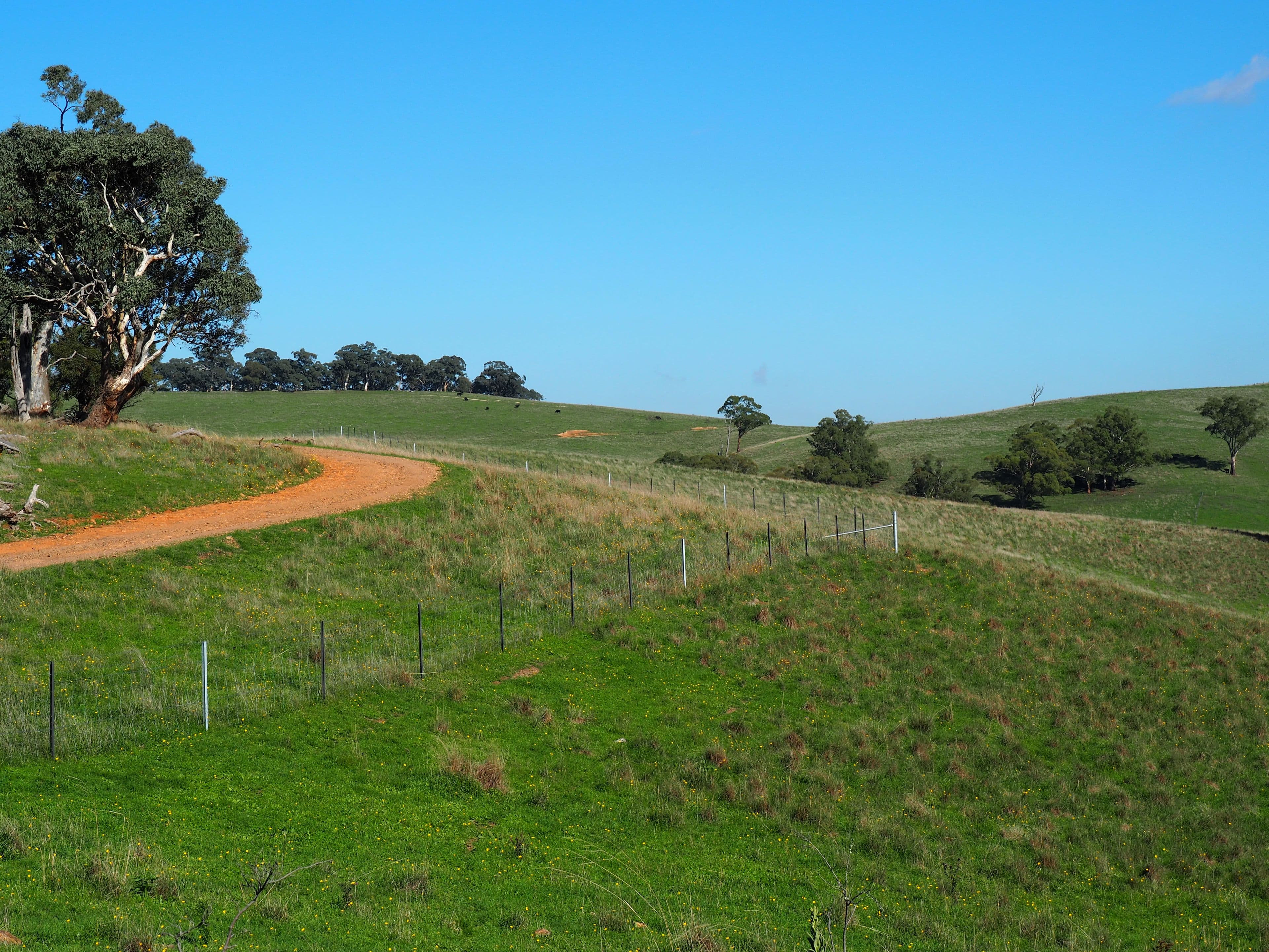 Palmers Oaky NSW 2795, Palmers Oaky - Thumbnail 7