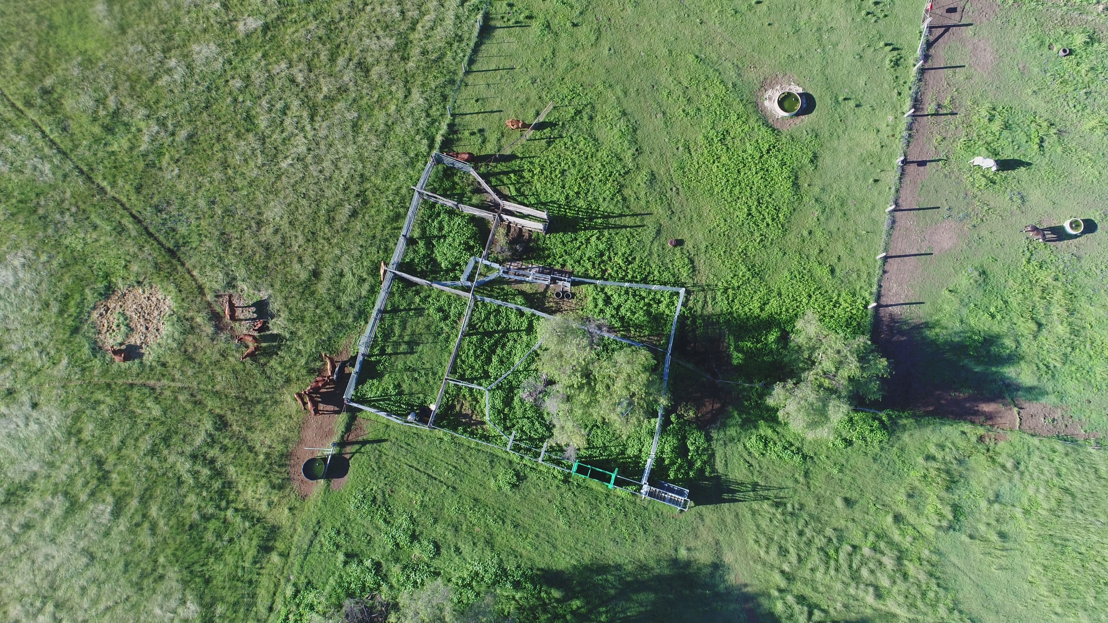 335 Clifton Road, Pittsworth QLD 4356, Pittsworth - Thumbnail 5