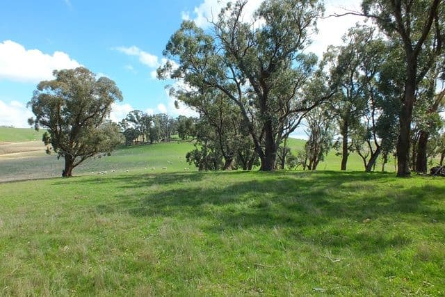 2143 Great Western Highway, Mount Lambie NSW 2790, Mount Lambie - Thumbnail 7