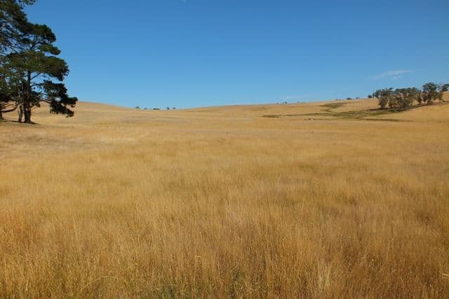 2143 Great Western Highway, Mount Lambie NSW 2790, Mount Lambie - Thumbnail 3