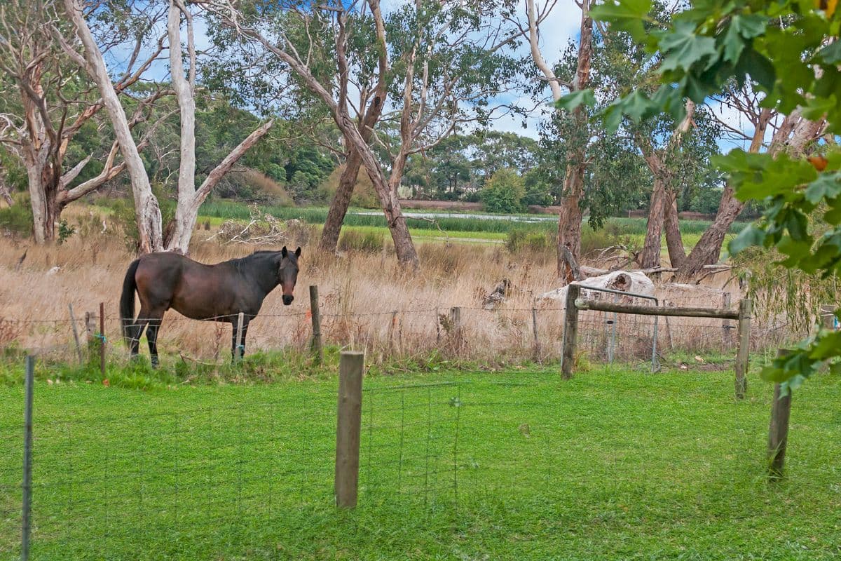 21 Condah- Coleraine Road, Condah VIC 3303, Condah - Thumbnail 8