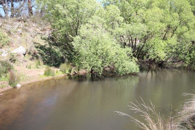 278 Ferndale Road, Oberon NSW 2787, Oberon - Thumbnail 7