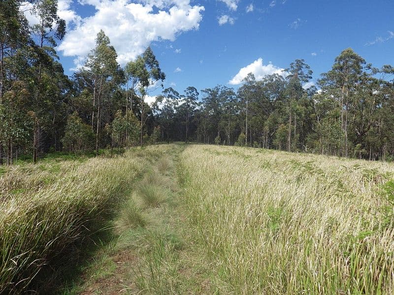 640 Harness Cask Road, Tyringham NSW 2453, Tyringham - Thumbnail 7