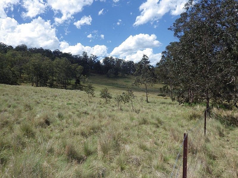 640 Harness Cask Road, Tyringham NSW 2453, Tyringham - Thumbnail 6
