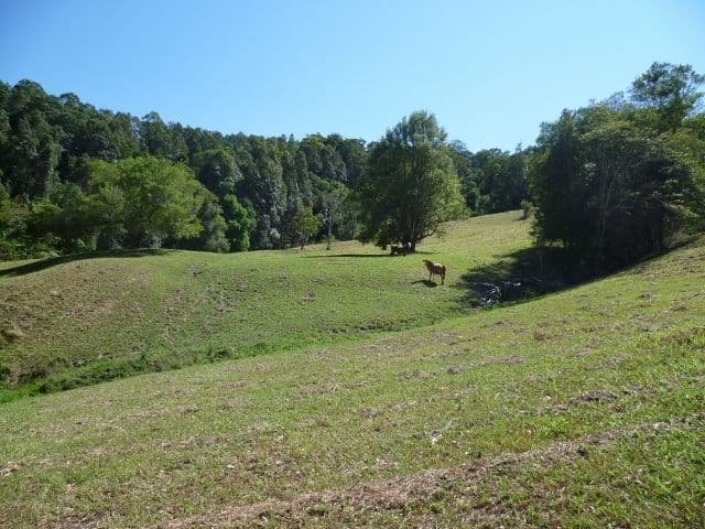 1475 Byrrill Creek Road, Tyalgum NSW 2484, Tyalgum - Thumbnail 6
