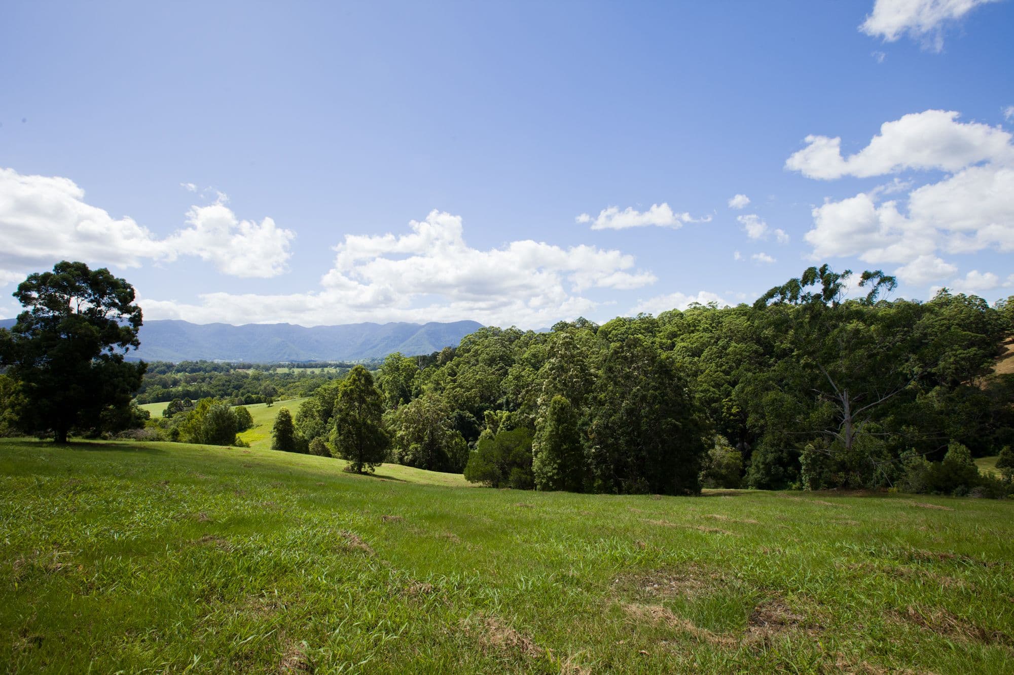 1475 Byrrill Creek Road, Tyalgum NSW 2484, Tyalgum - Thumbnail 3