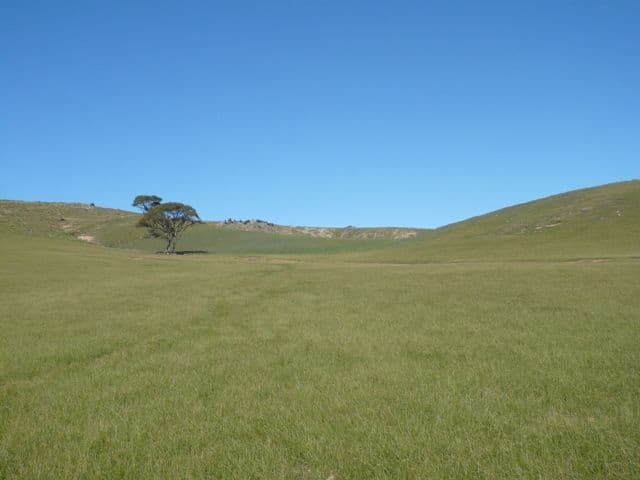 Various Sections, Worlds End Highway, WORLDS END SA 5381, Worlds End - Thumbnail 3