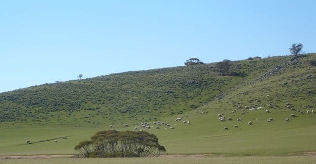 Various Sections, Worlds End Highway, WORLDS END SA 5381, Worlds End - Image 1