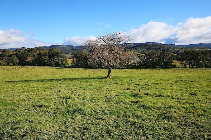 Lot 2, 120 Yellow Rock Road, Tullimbar NSW 2527, Tullimbar - Thumbnail 2