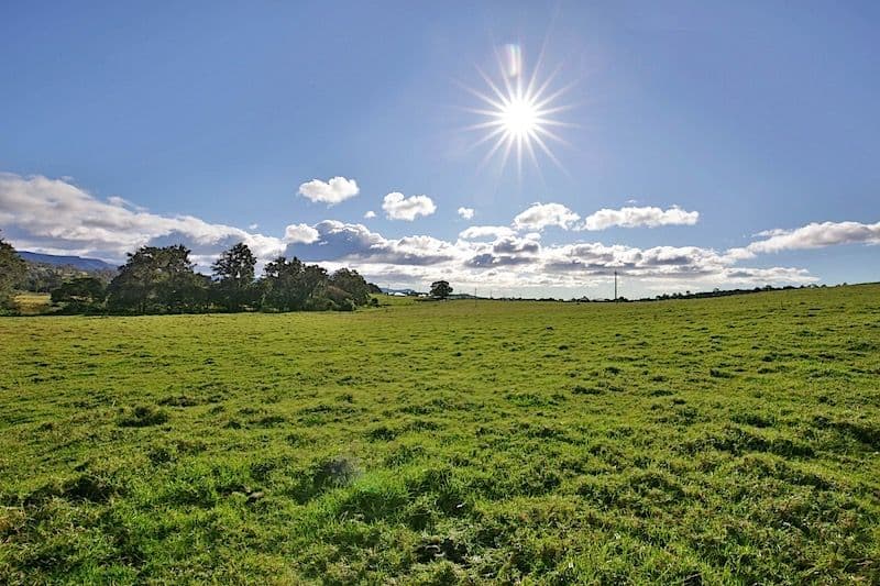 Lot 2, 120 Yellow Rock Road, Tullimbar NSW 2527, Tullimbar - Thumbnail 7