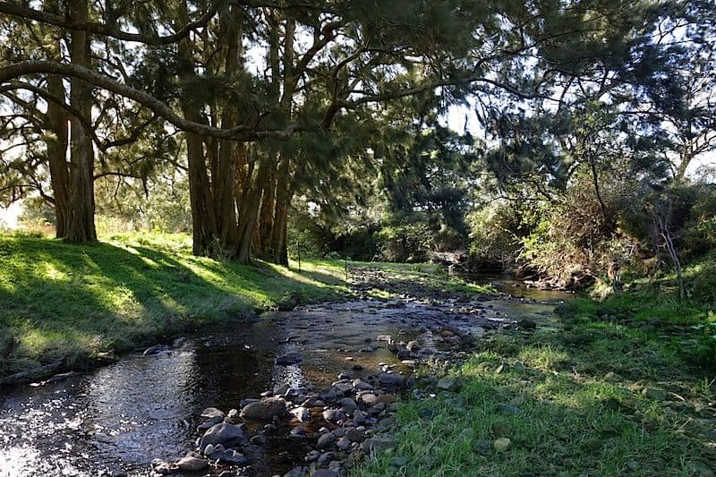 Lot 2, 120 Yellow Rock Road, Tullimbar NSW 2527, Tullimbar - Thumbnail 5