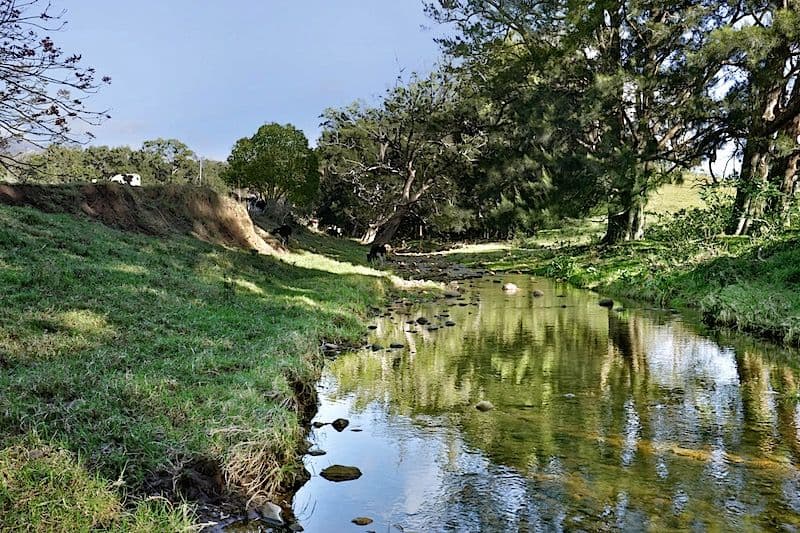 Lot 2, 120 Yellow Rock Road, Tullimbar NSW 2527, Tullimbar - Thumbnail 6