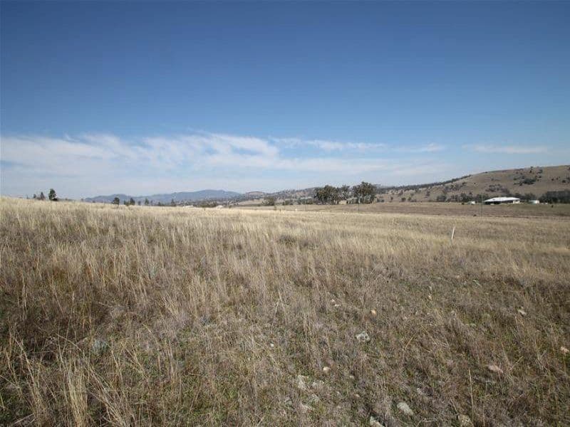 5 Raphie Howard Drive, Willow Tree NSW 2339, Willow Tree - Thumbnail 2