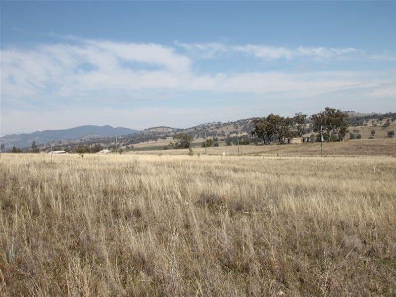 5 Raphie Howard Drive, Willow Tree NSW 2339, Willow Tree - Thumbnail 4