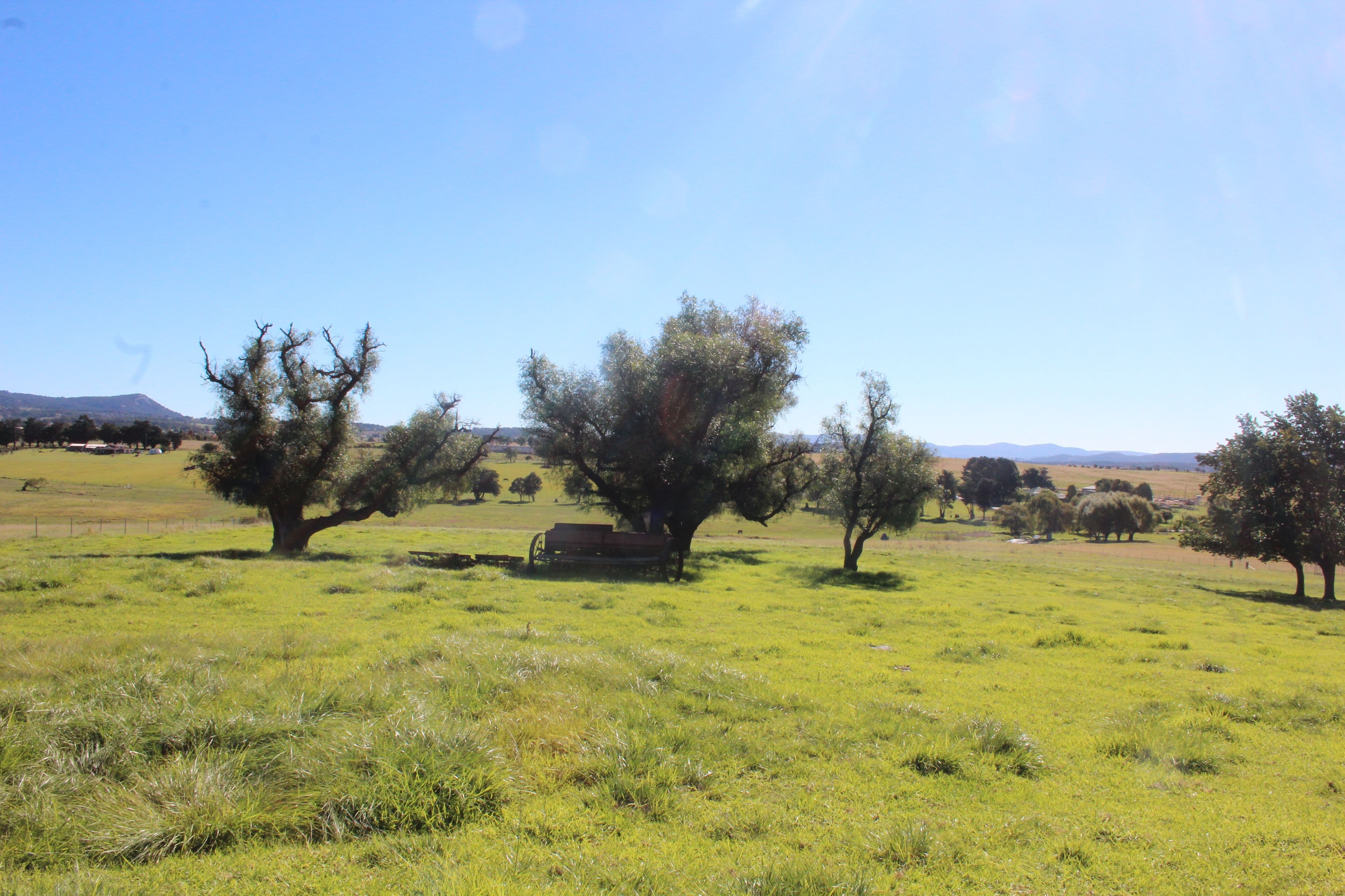 Lot 10 Millers Lane, Tenterfield NSW 2372, Tenterfield - Image 1