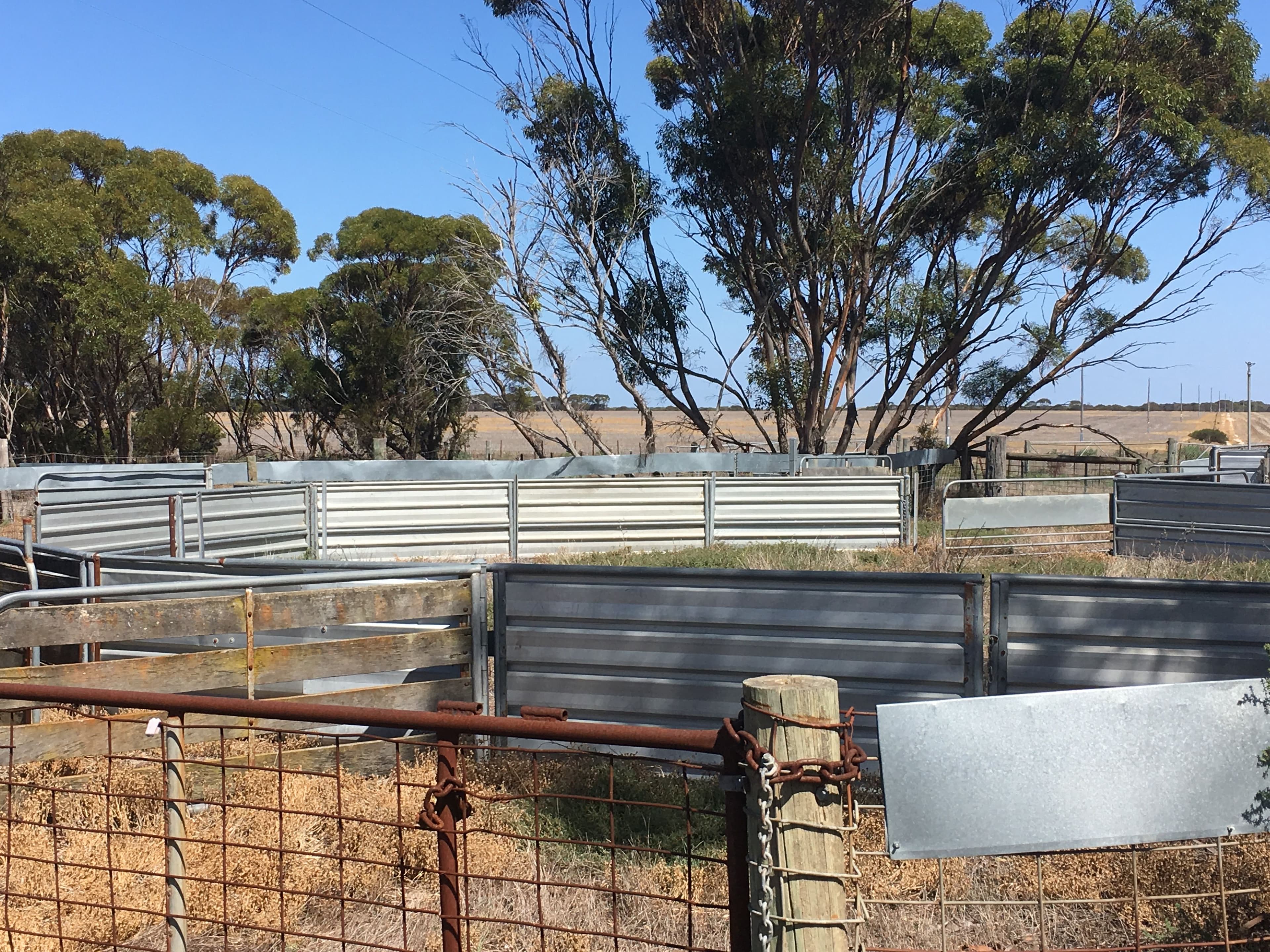 1560 Muncaster Road, Mount Madden WA 6356, Mount Madden - Thumbnail 6