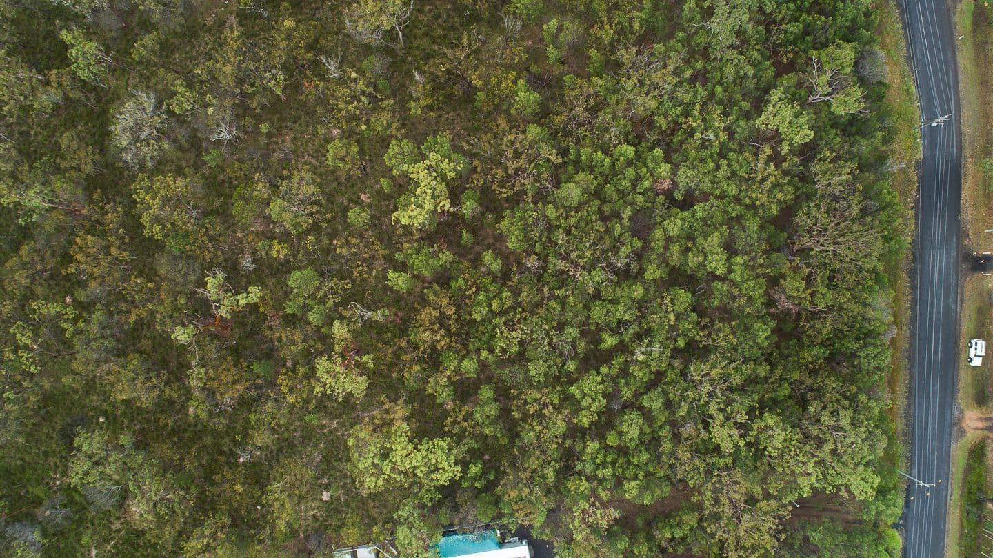 211 Pacific Haven Circuit, Pacific Haven QLD 4659, Pacific Haven - Thumbnail 3