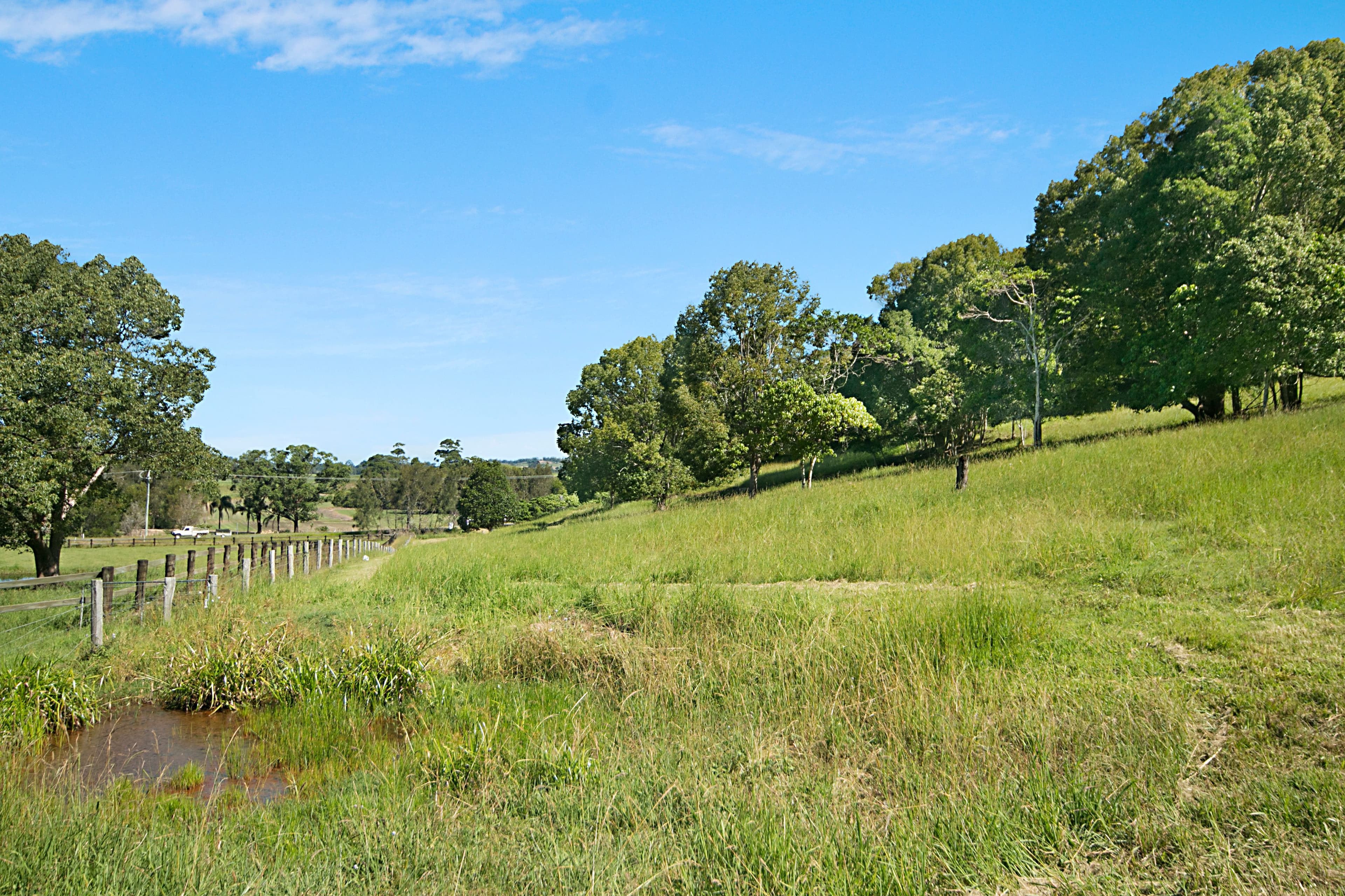 278 Round Mountain Road, Round Mountain NSW 2484, Round Mountain - Thumbnail 8