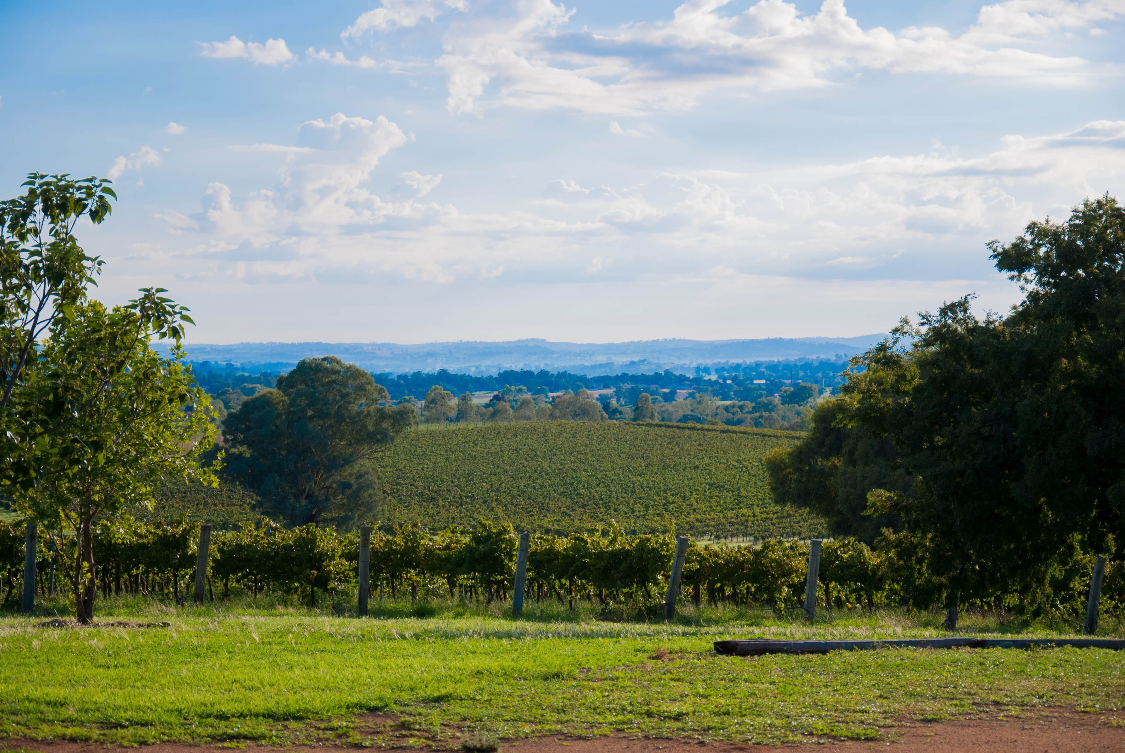 92 Andersons Lane, Cowra NSW 2794, Cowra - Thumbnail 2