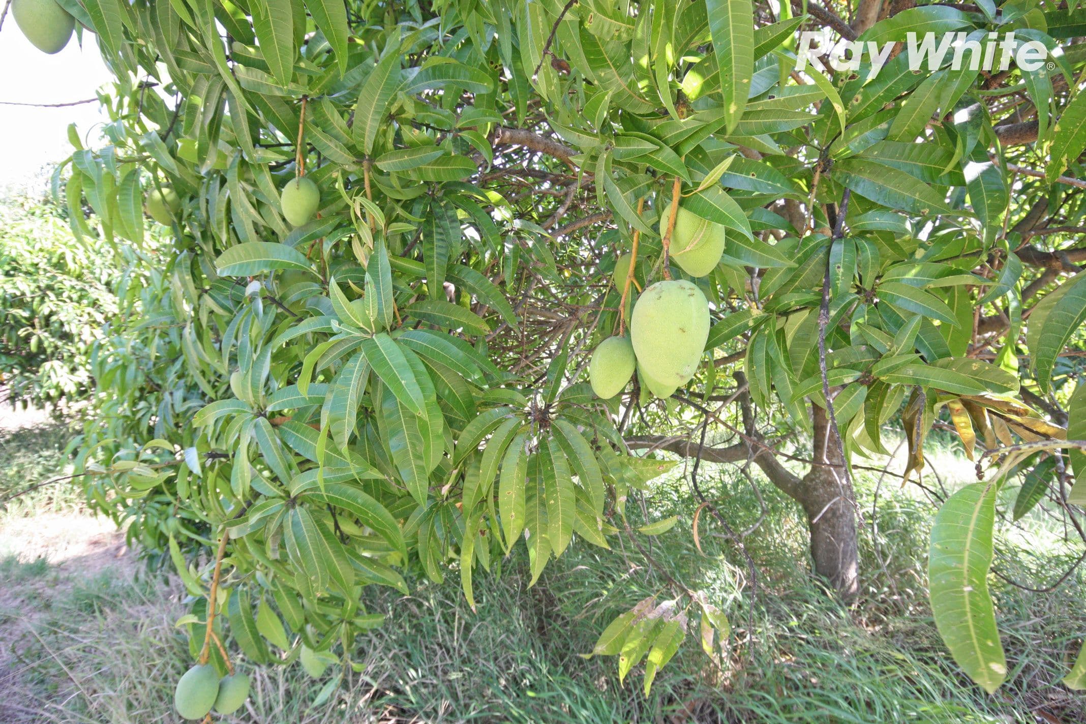 741 Keppel Sands Road, Keppel Sands QLD 4702, Keppel Sands - Thumbnail 3