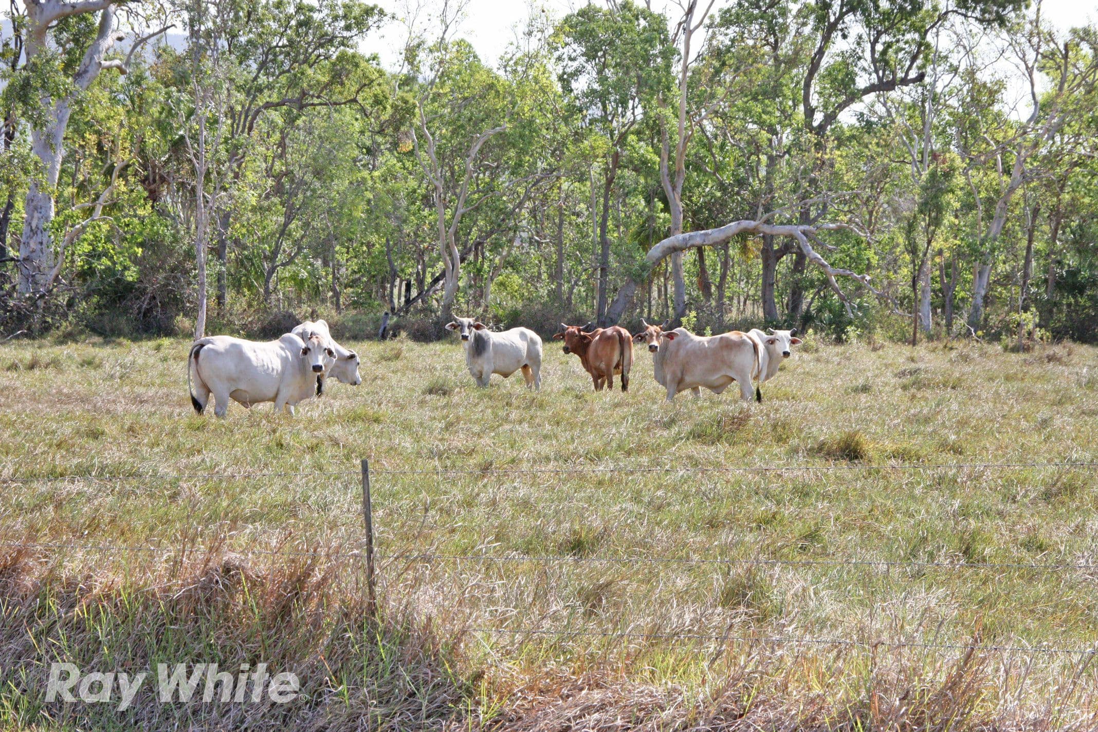 741 Keppel Sands Road, Keppel Sands QLD 4702, Keppel Sands - Image 1