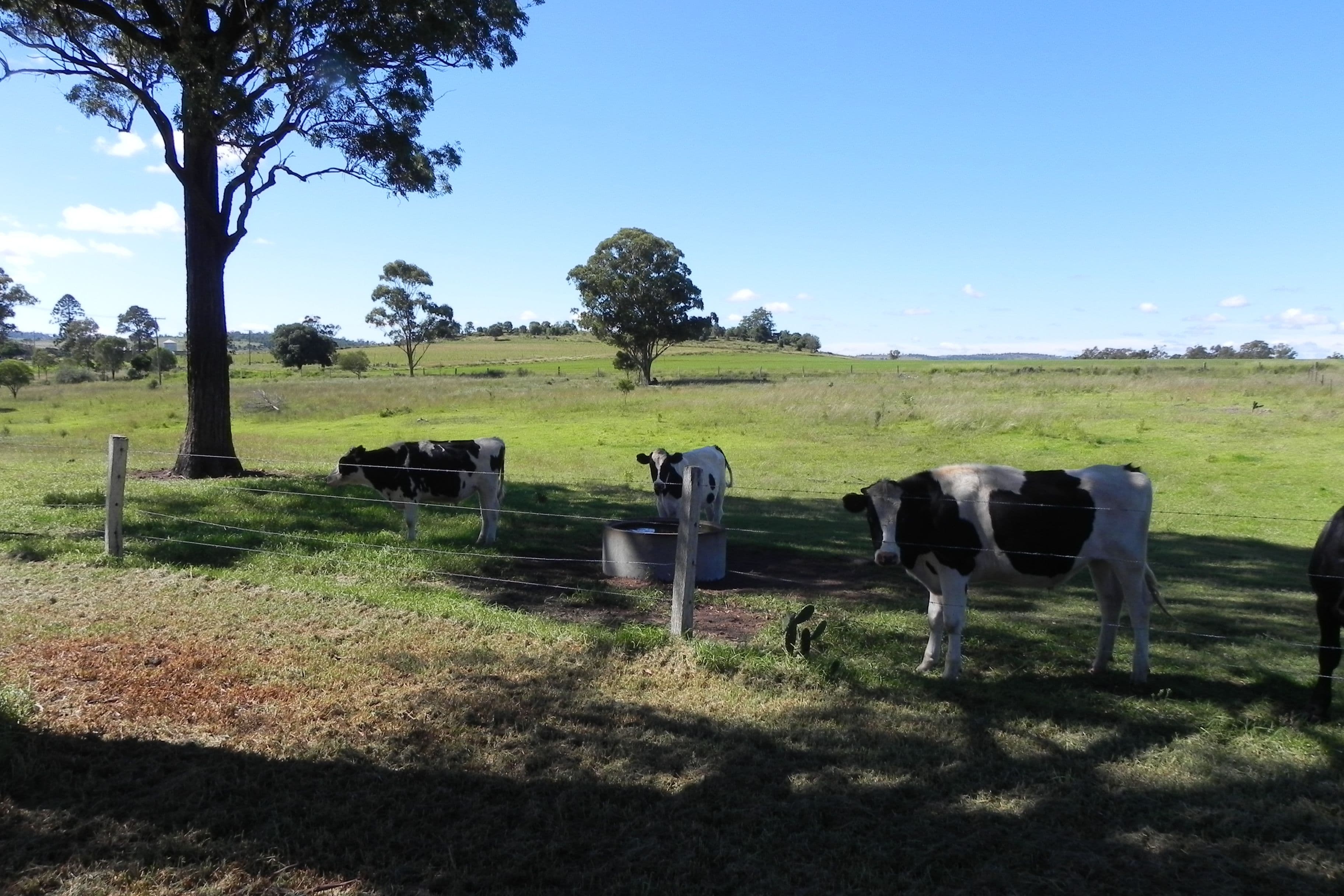 32 Walkers Rd off Goombungee-Kilburnie Road, GOOMBUNGEE QLD 4354, Goombungee - Image 1