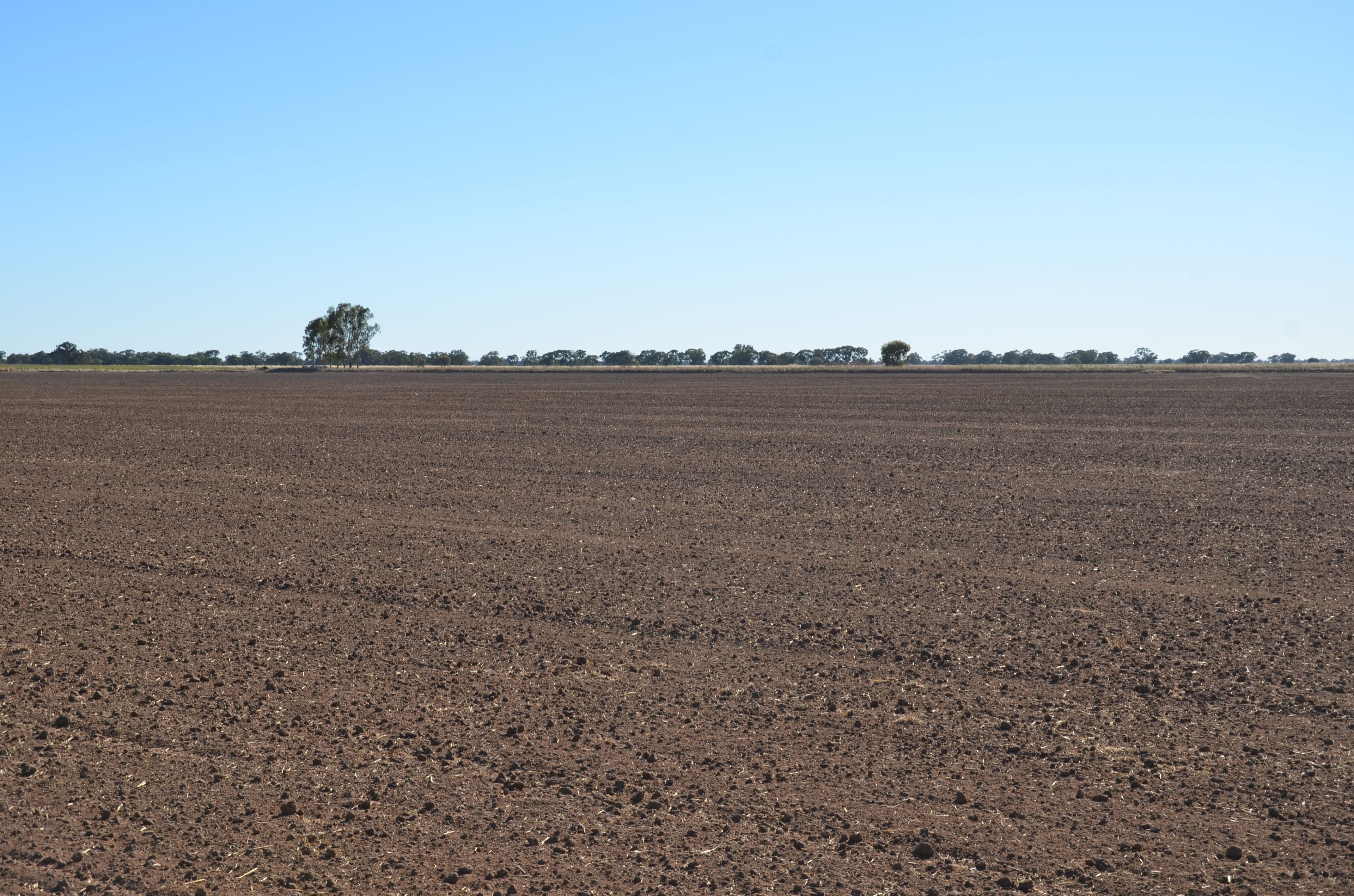 670 Willawa Lane, FINLEY NSW 2713, Finley - Thumbnail 6