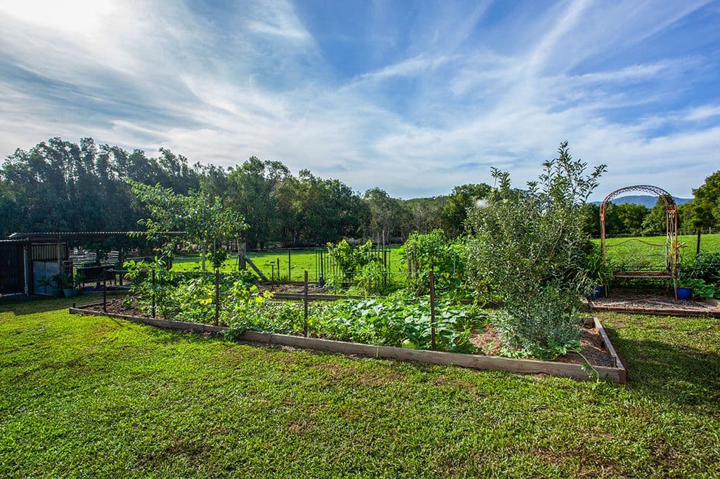 40 Hannam Vale Road, Moorland NSW 2443, Moorland - Thumbnail 2
