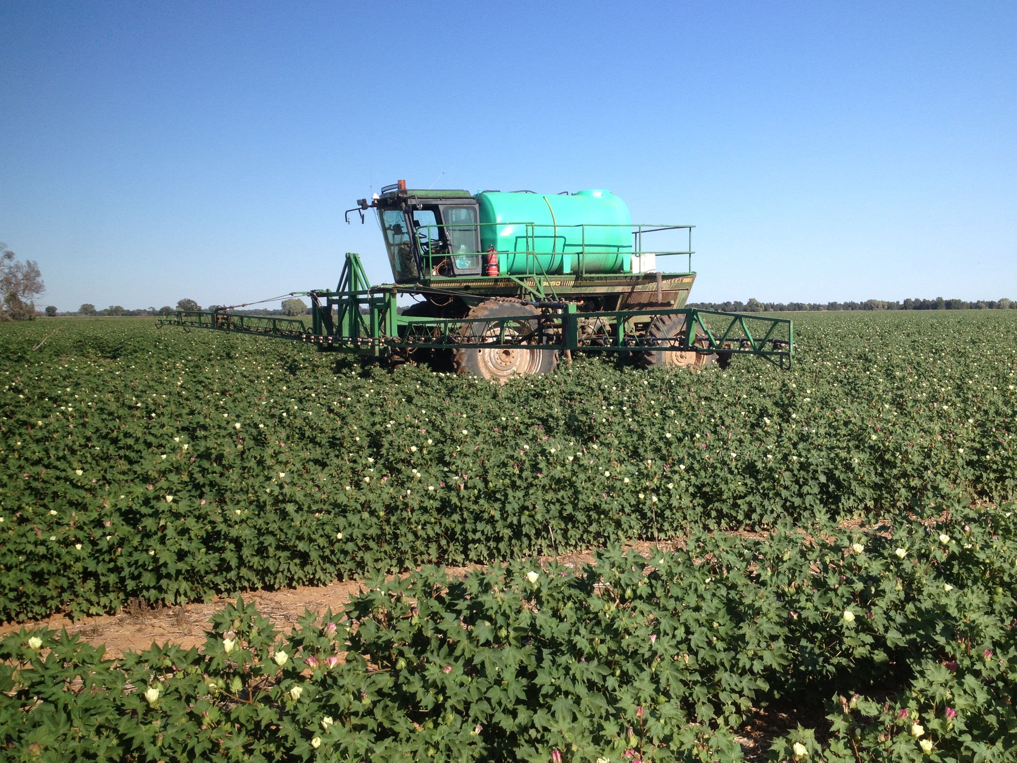 'Wilga' The McGrane Way, Narromine NSW 2821, Narromine - Thumbnail 2