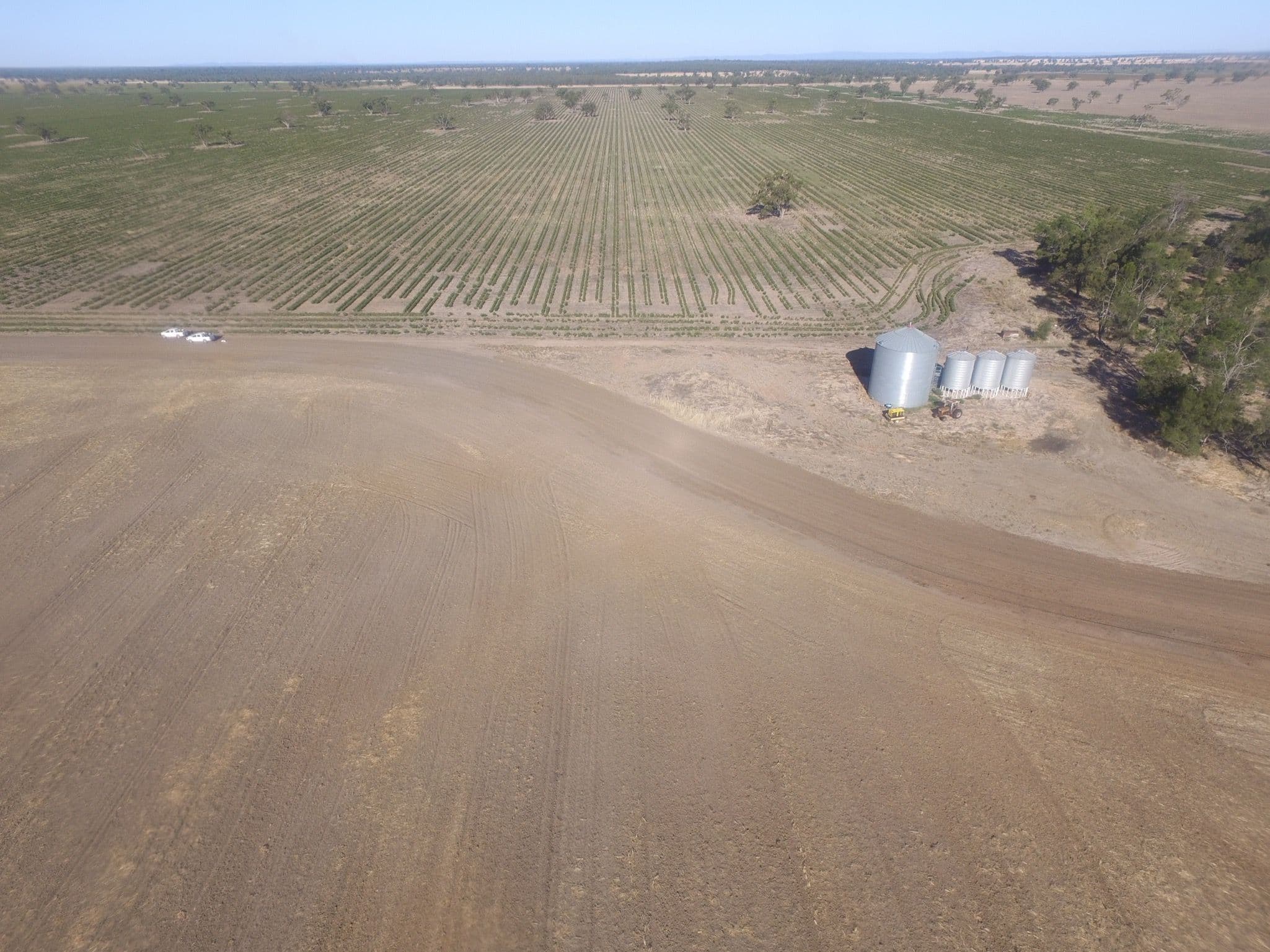'Wilga' The McGrane Way, Narromine NSW 2821, Narromine - Image 1
