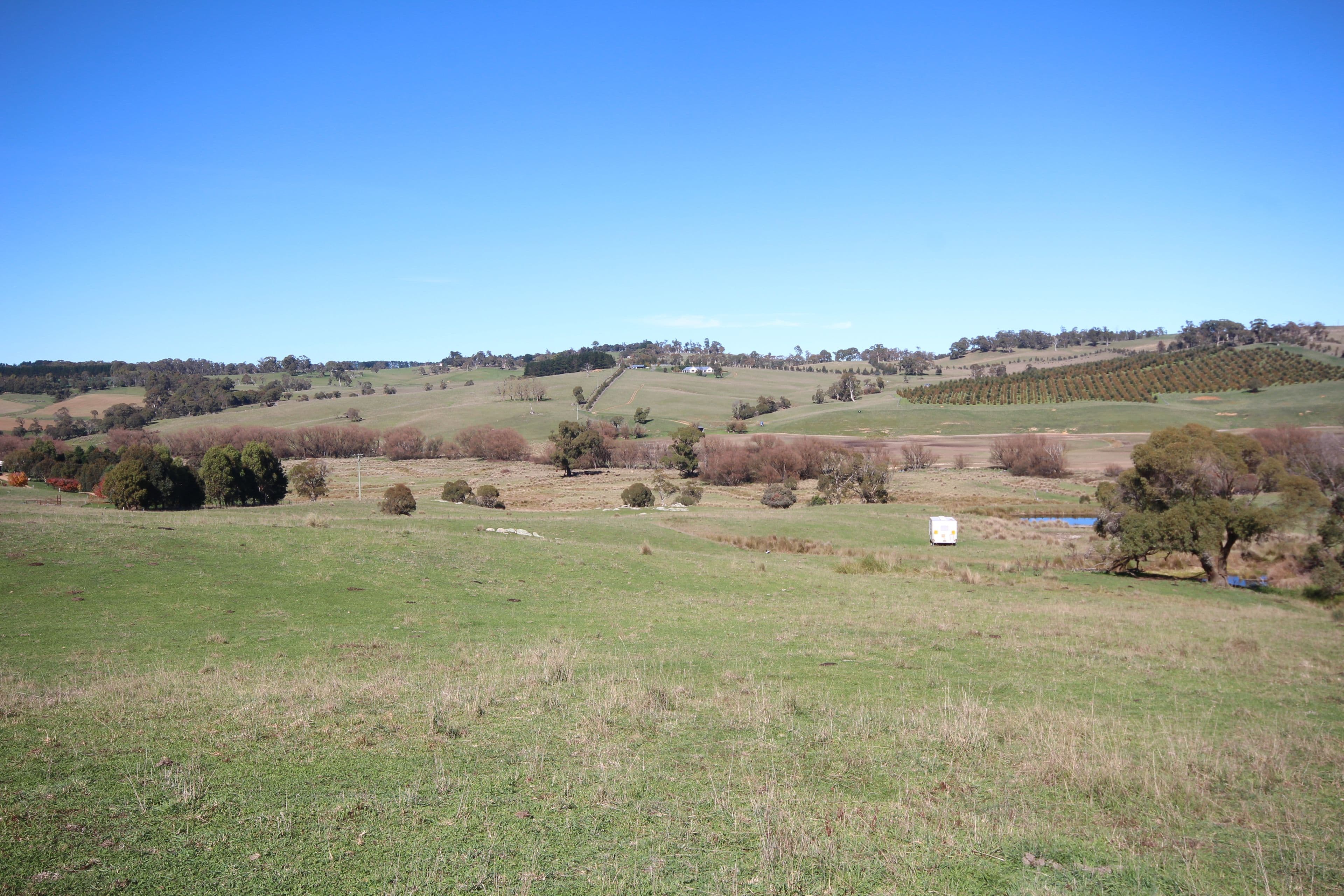 212 Beattie Road, Oberon NSW 2787, Oberon - Thumbnail 4