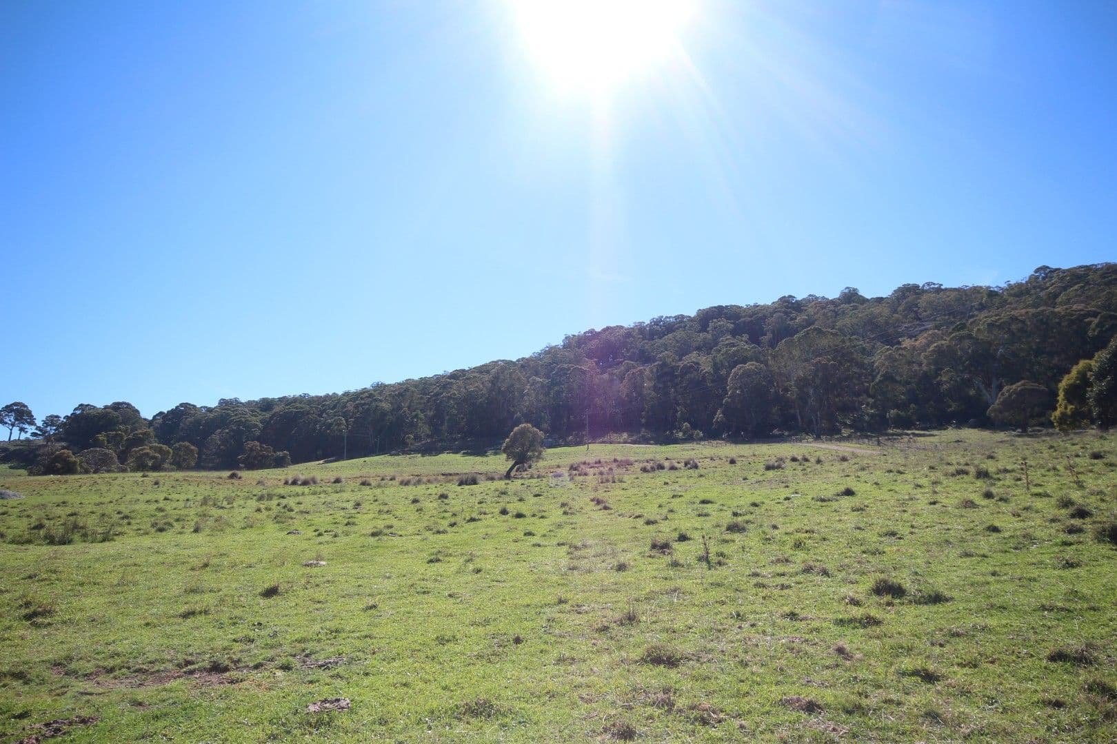 212 Beattie Road, Oberon NSW 2787, Oberon - Thumbnail 6