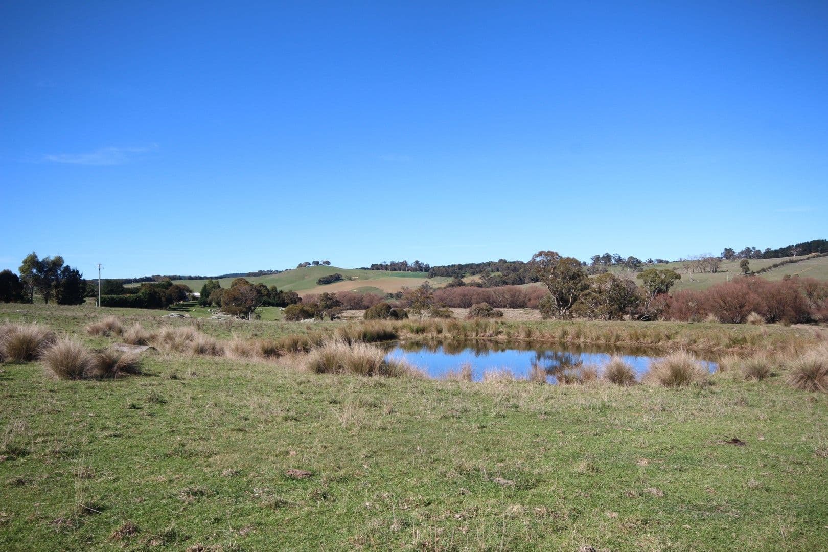 212 Beattie Road, Oberon NSW 2787, Oberon - Thumbnail 3