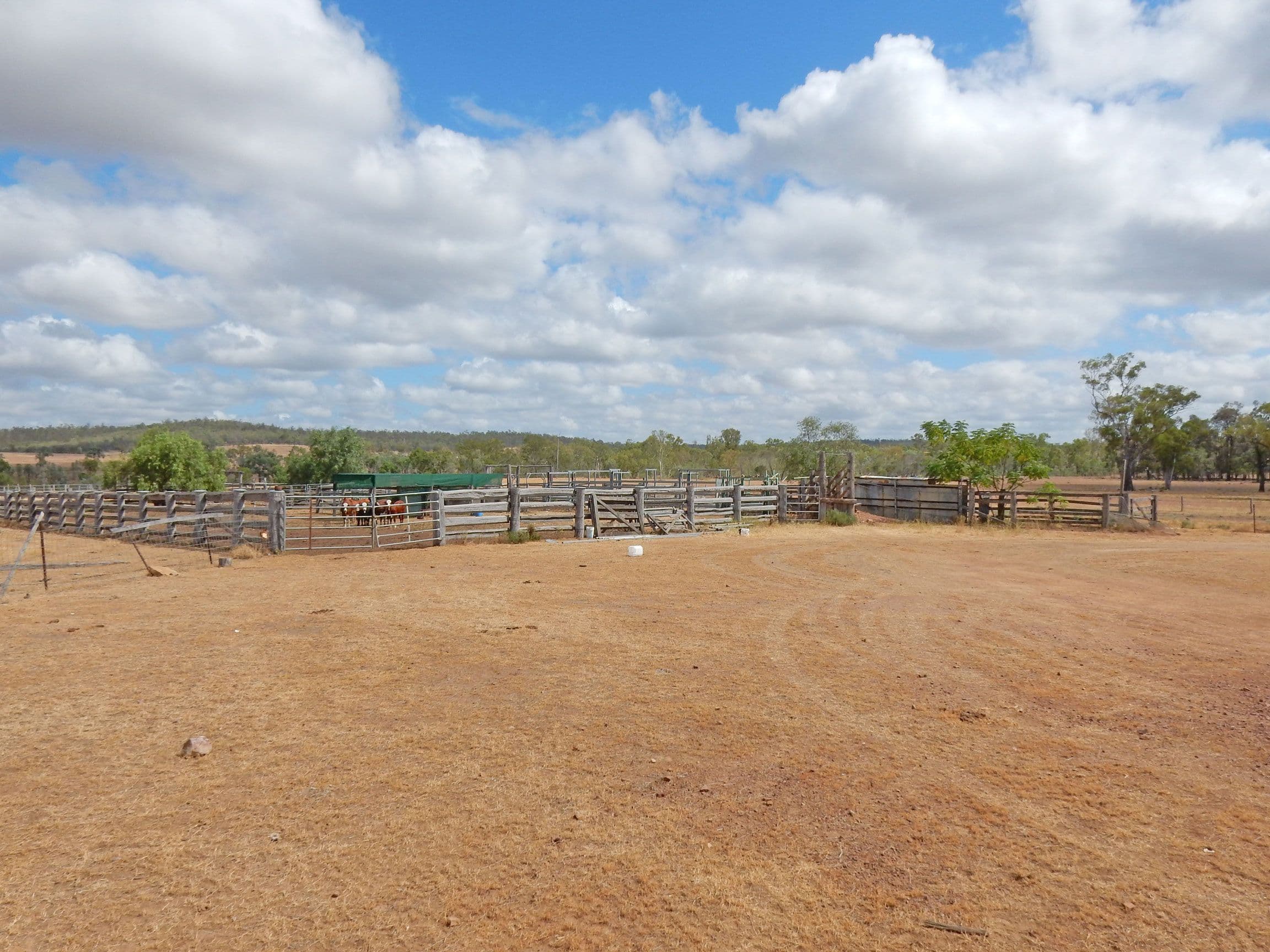 1541 Coonambula Road, Coonambula QLD 4626, Coonambula - Thumbnail 7
