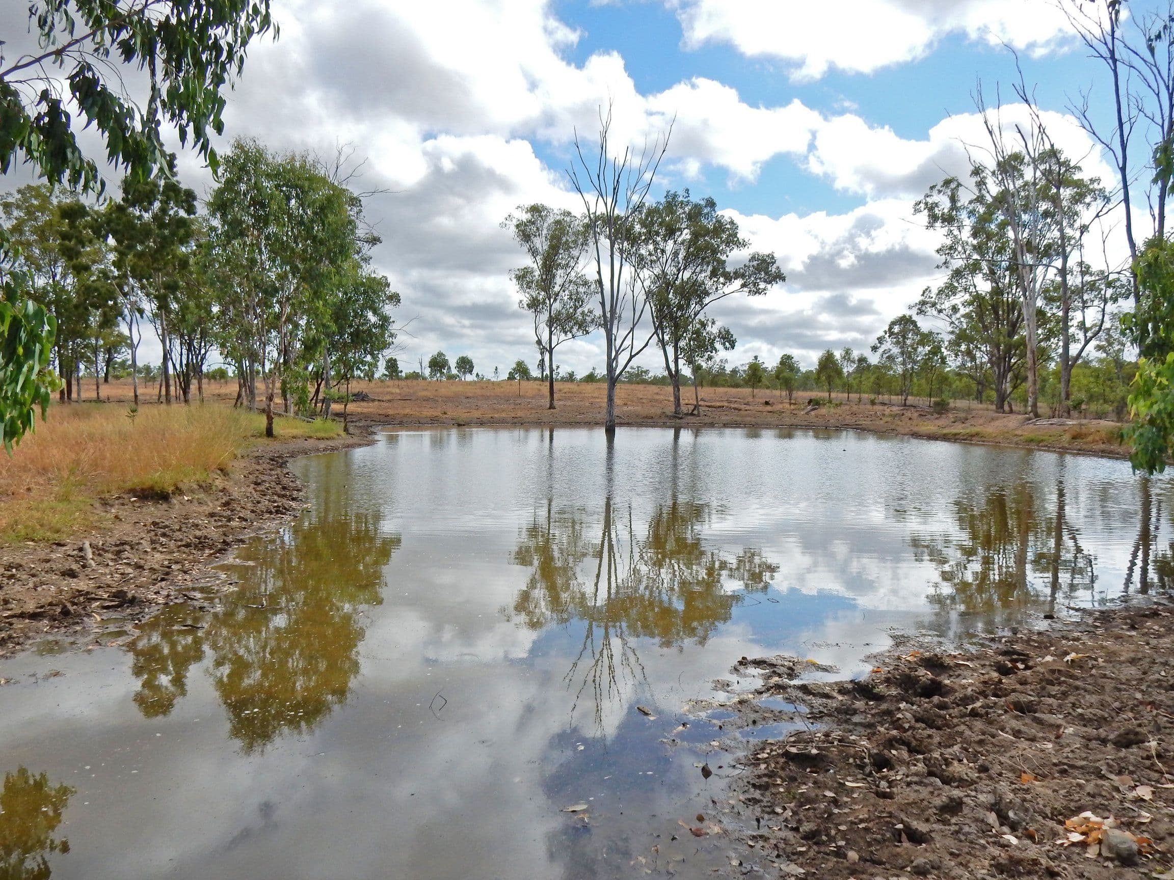 1541 Coonambula Road, Coonambula QLD 4626, Coonambula - Thumbnail 2