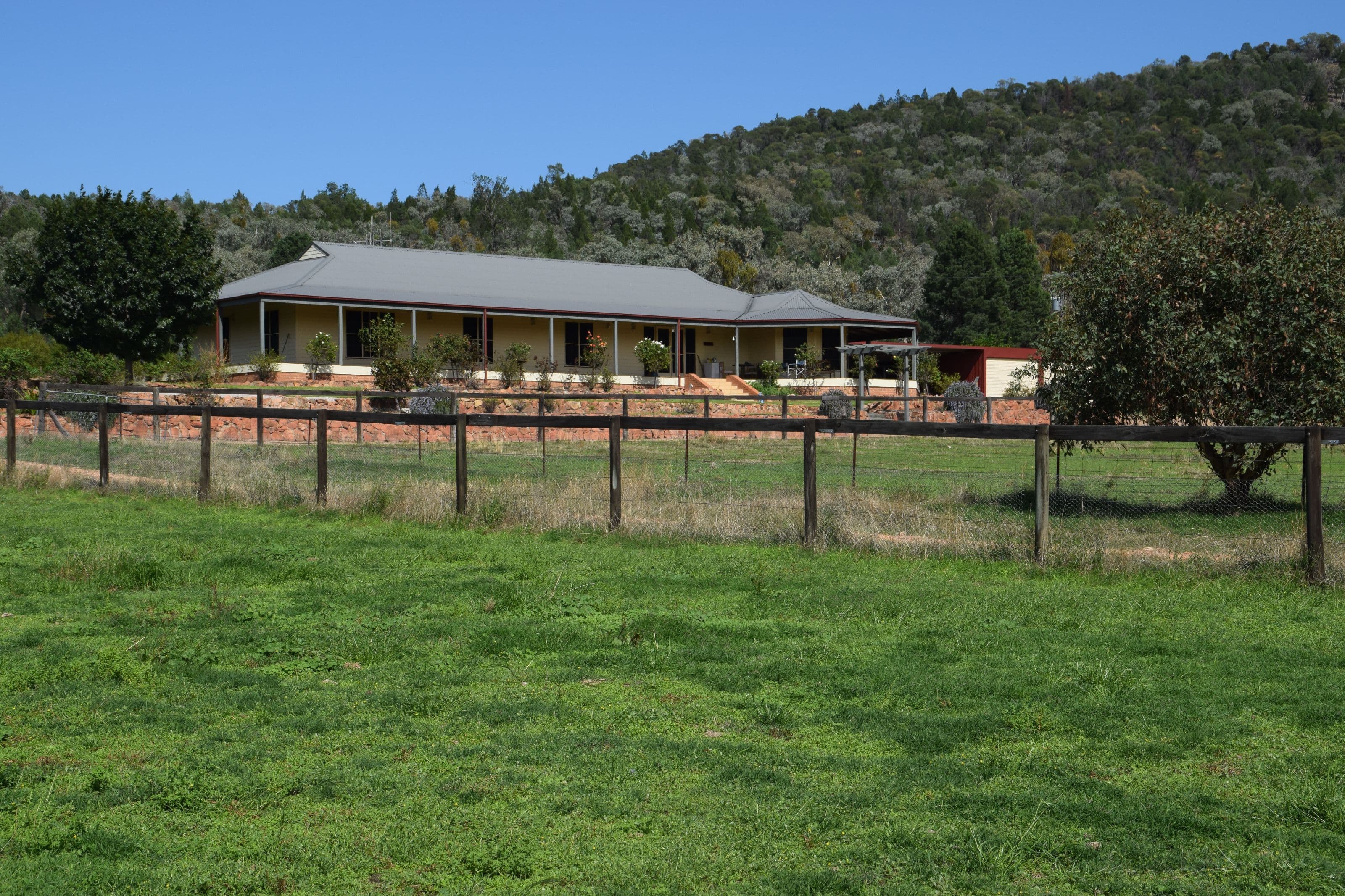 "Halcyon" 545 Noonameena Road, Yeoval NSW 2868, Yeoval - Image 1