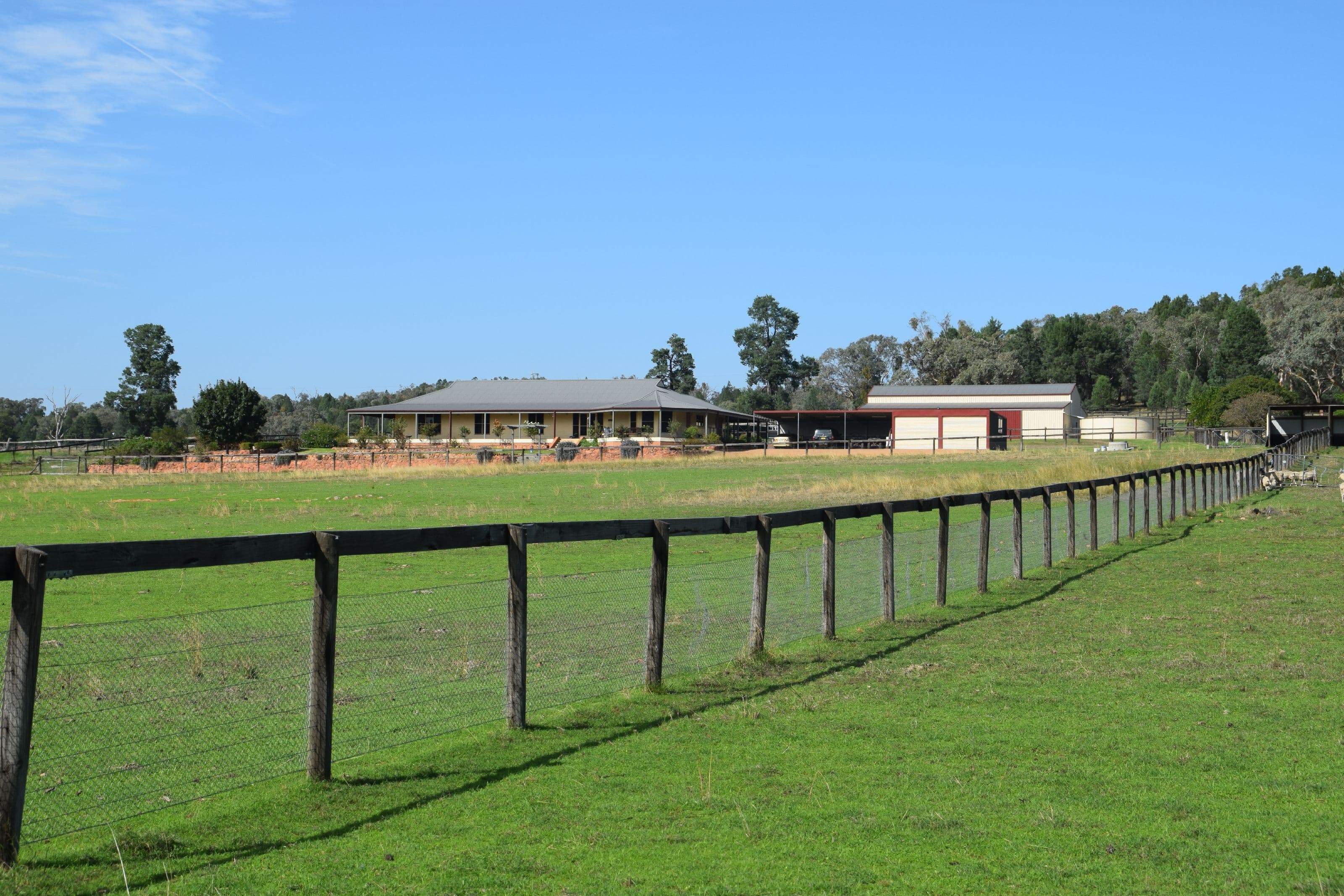 "Halcyon" 545 Noonameena Road, Yeoval NSW 2868, Yeoval - Thumbnail 2