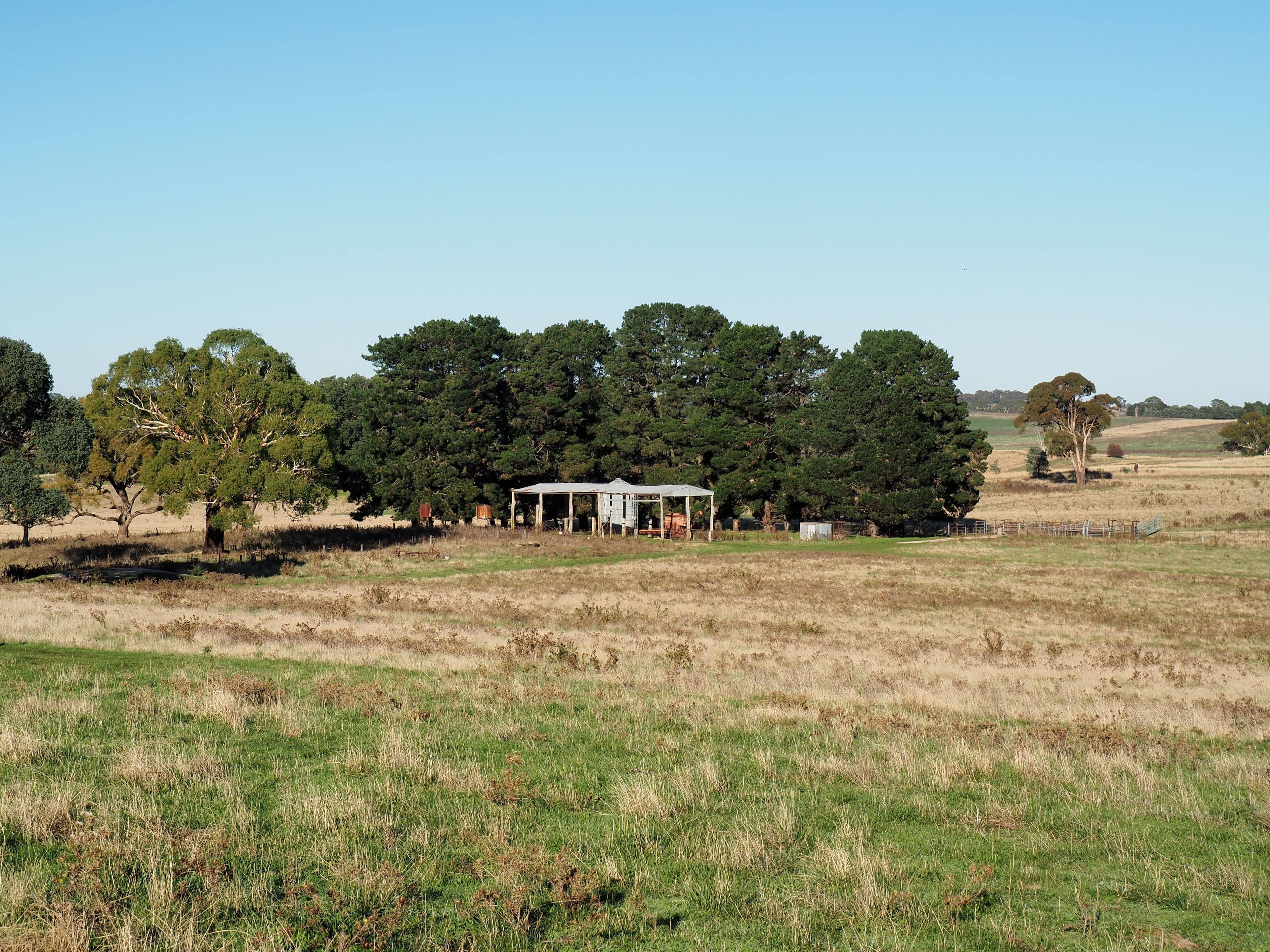 Tallwood NSW 2798, Tallwood - Thumbnail 5