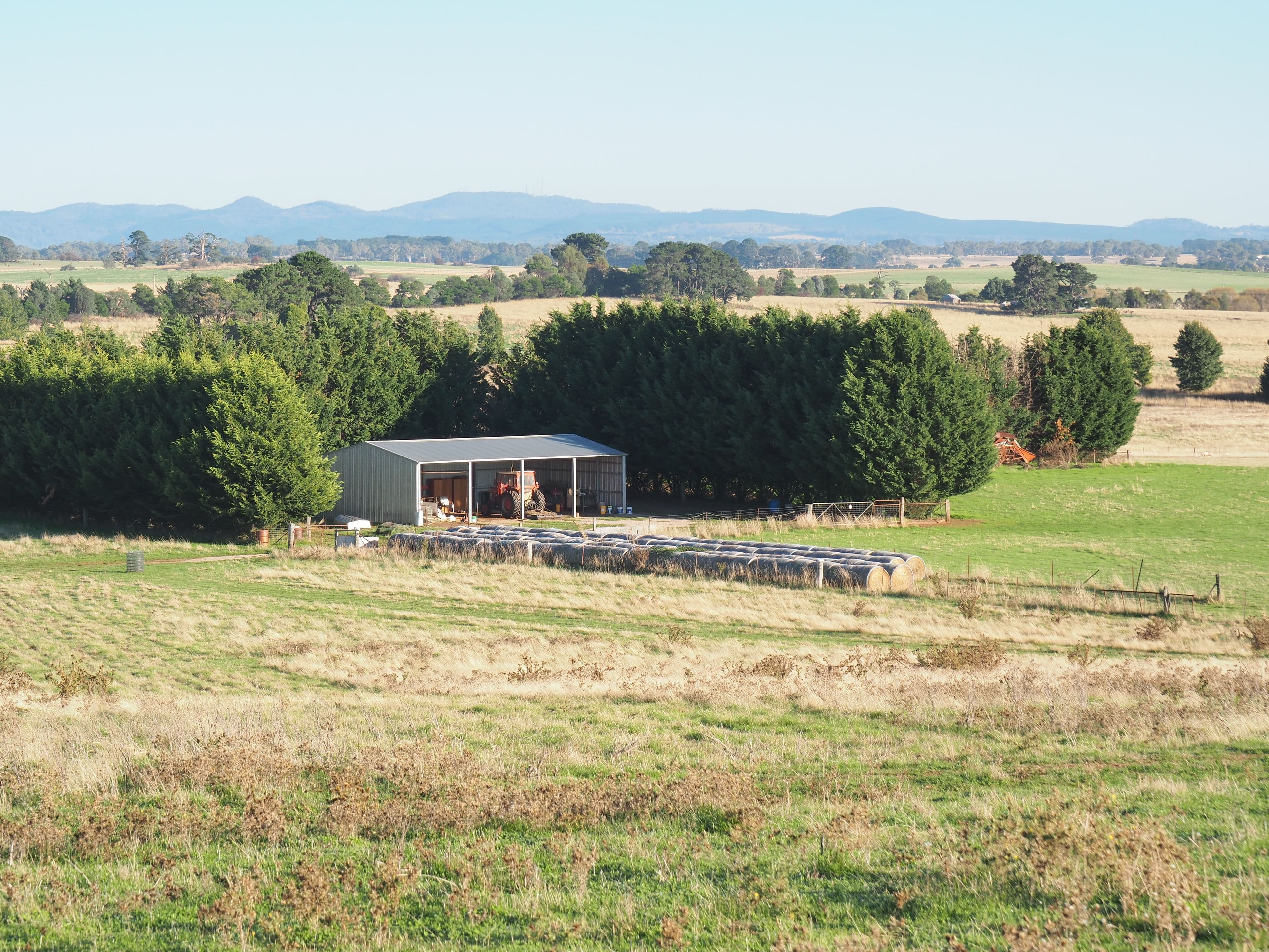 Tallwood NSW 2798, Tallwood - Thumbnail 4