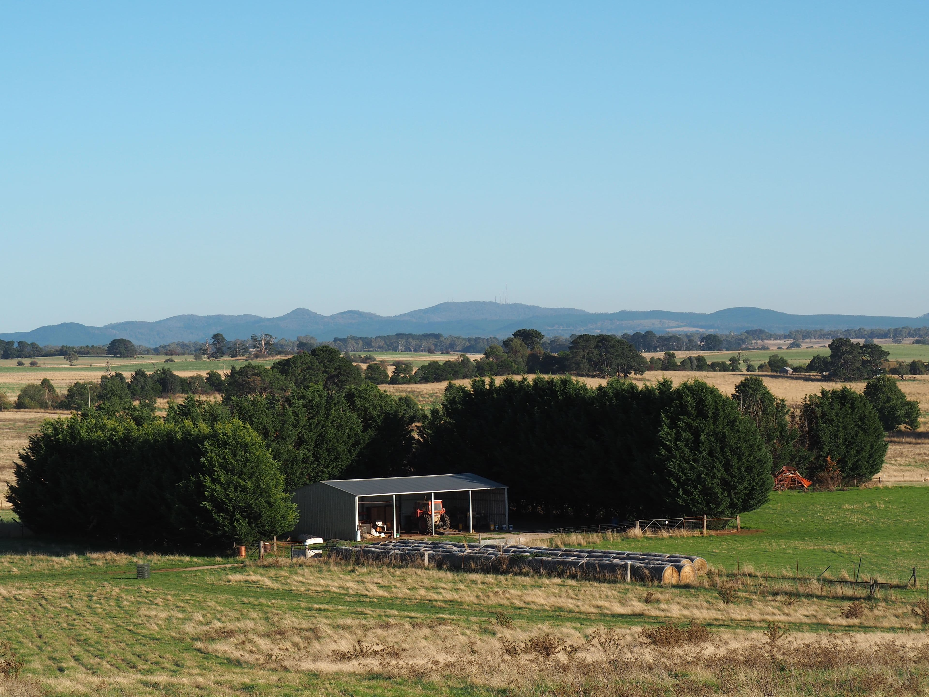 Tallwood NSW 2798, Tallwood - Thumbnail 7