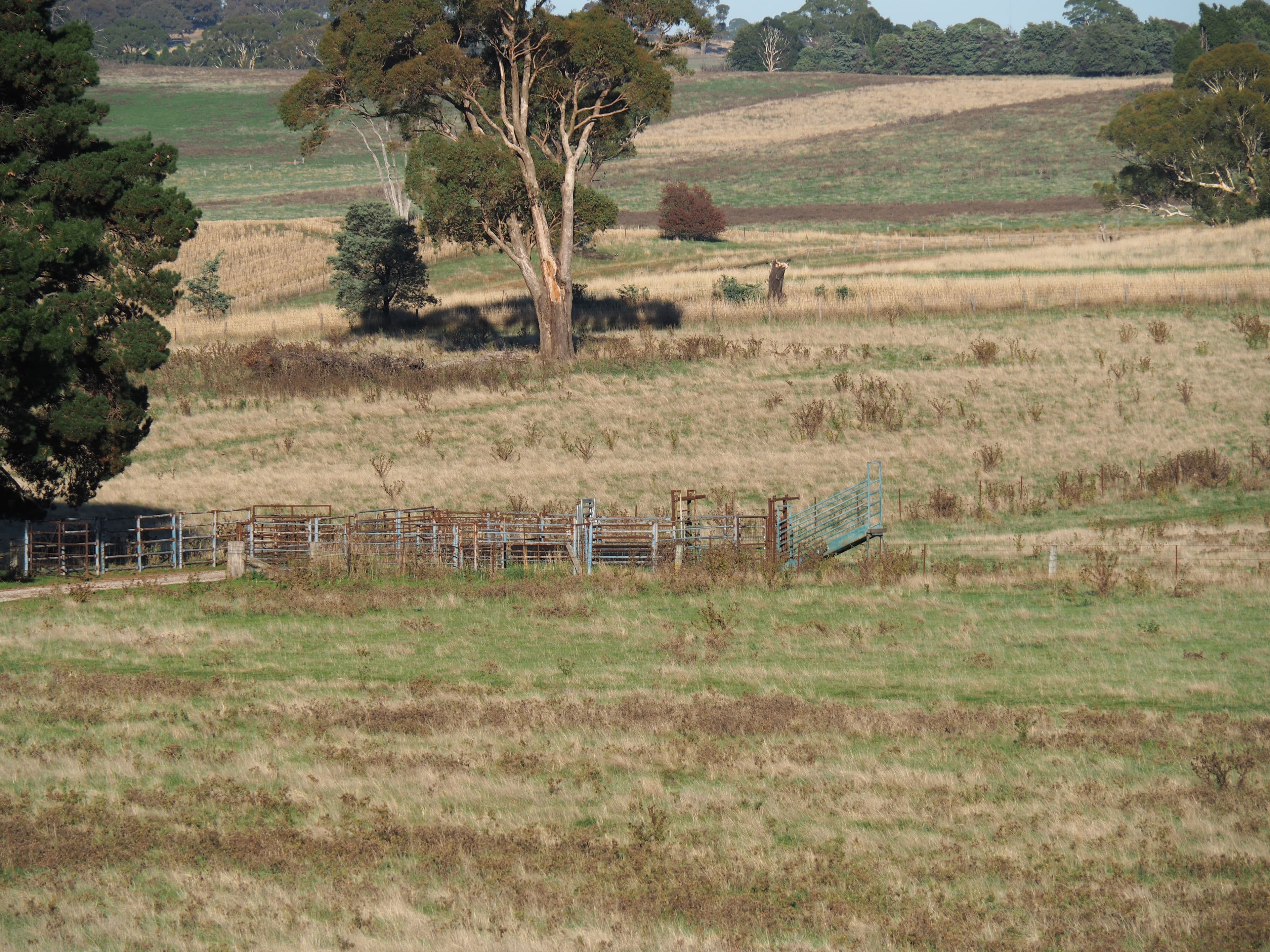 Tallwood NSW 2798, Tallwood - Thumbnail 6