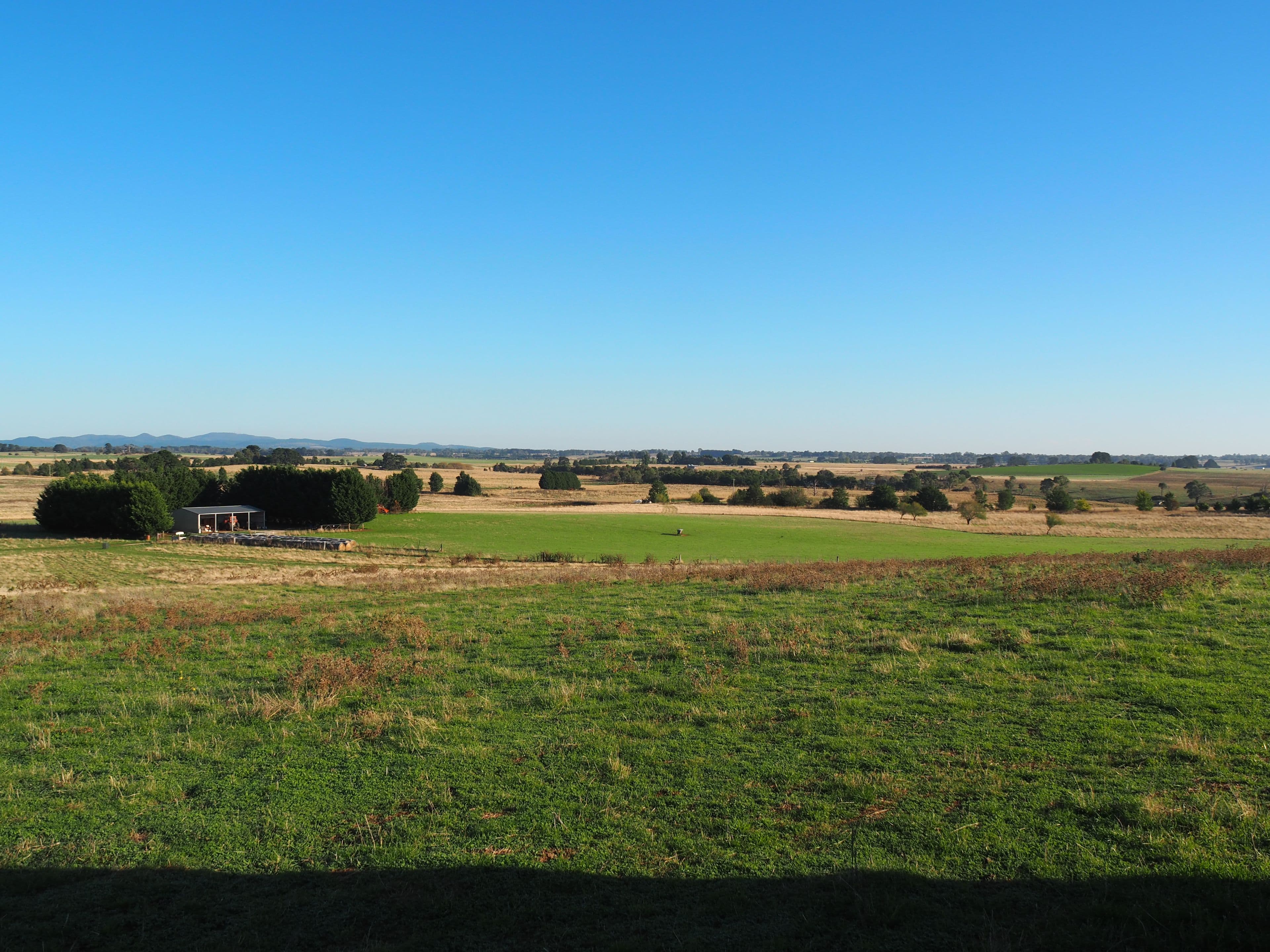Tallwood NSW 2798, Tallwood - Image 1