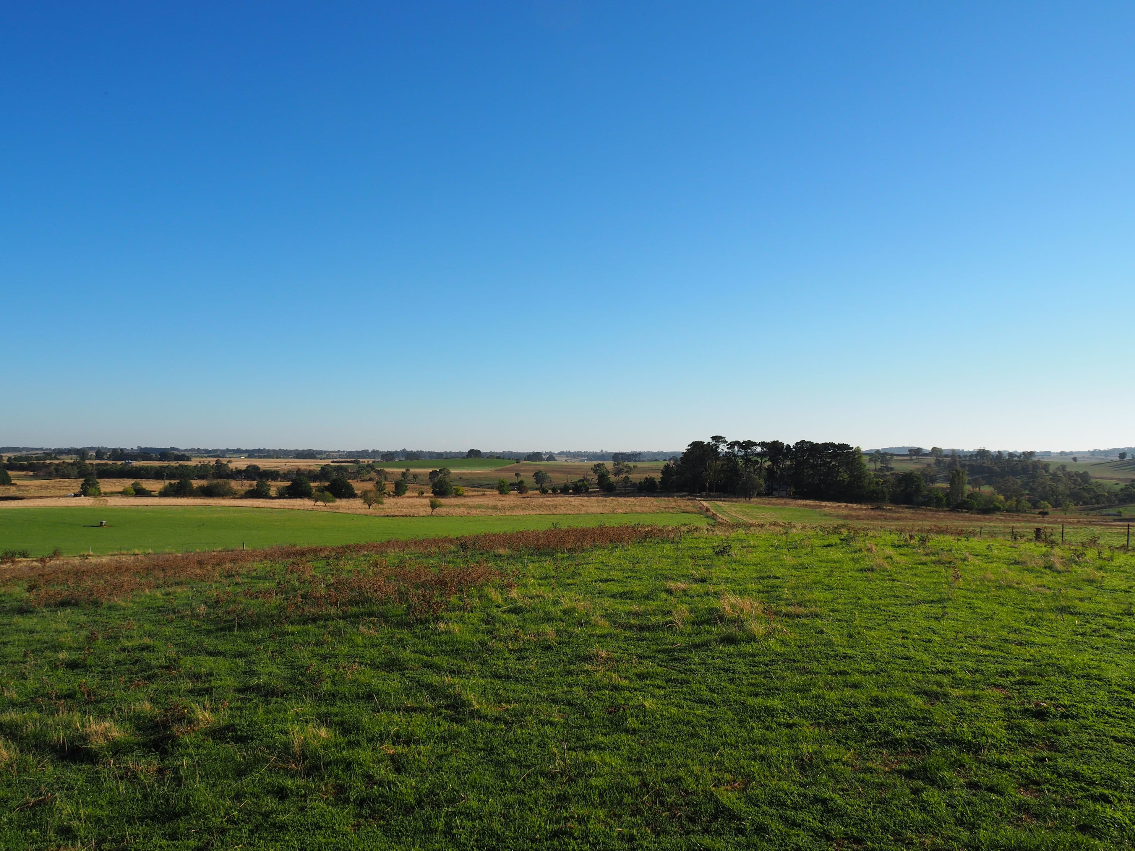 Tallwood NSW 2798, Tallwood - Thumbnail 8