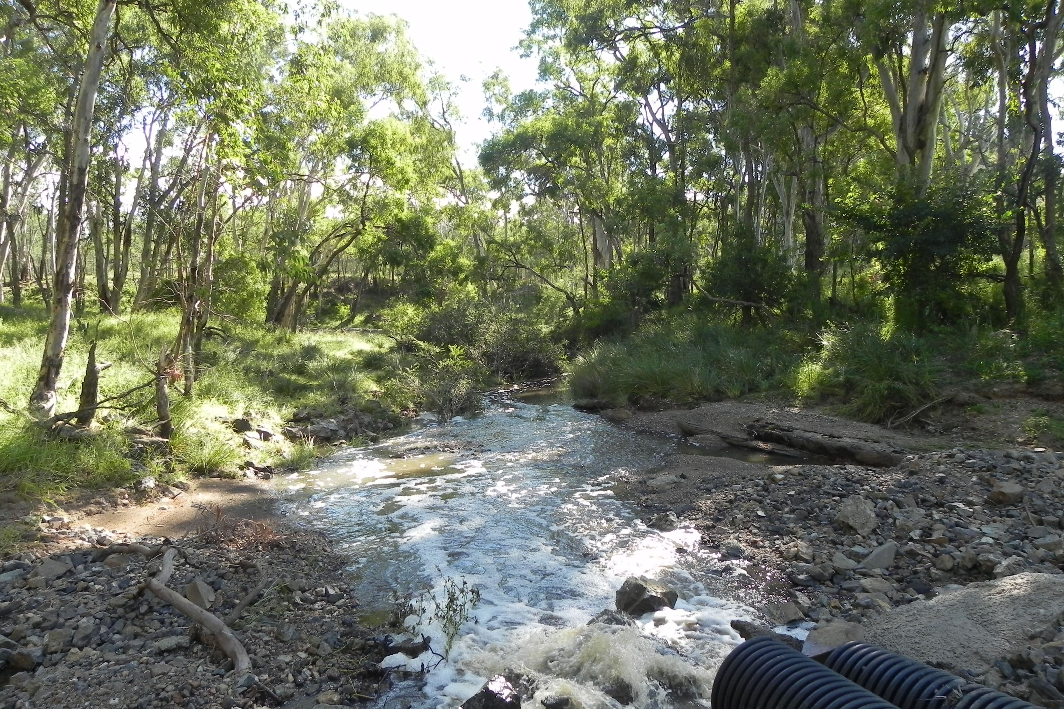 0 Tummaville Road, Leyburn QLD 4365, Leyburn - Thumbnail 7