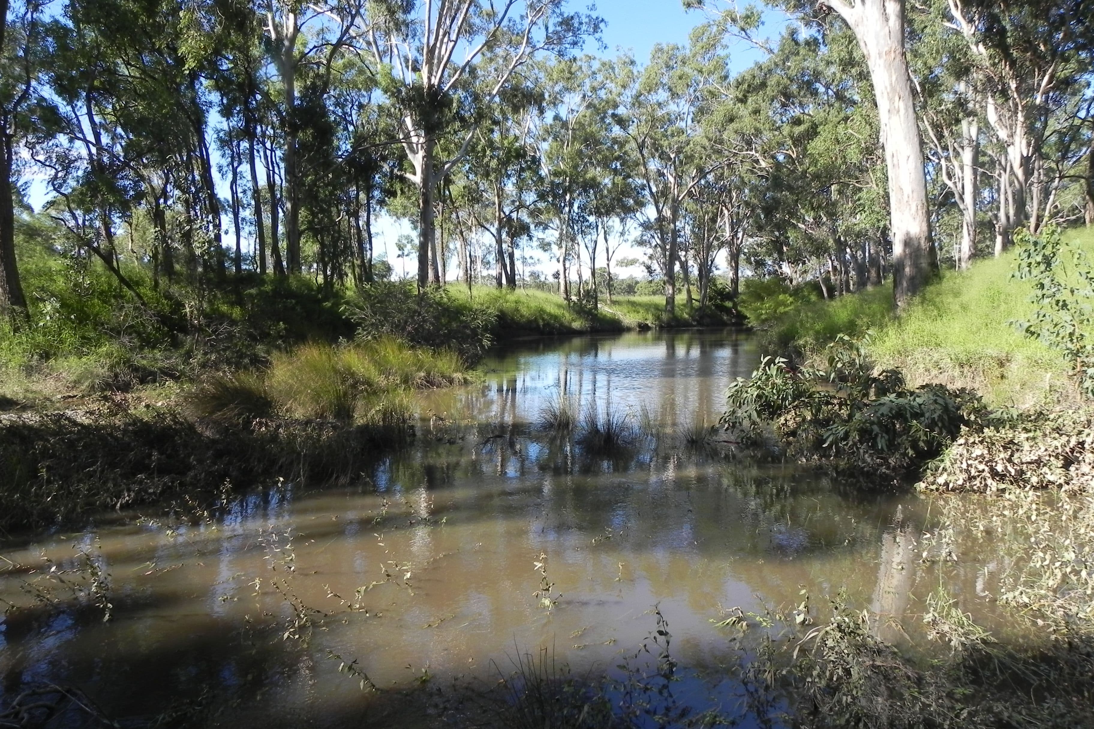 0 Tummaville Road, Leyburn QLD 4365, Leyburn - Thumbnail 5