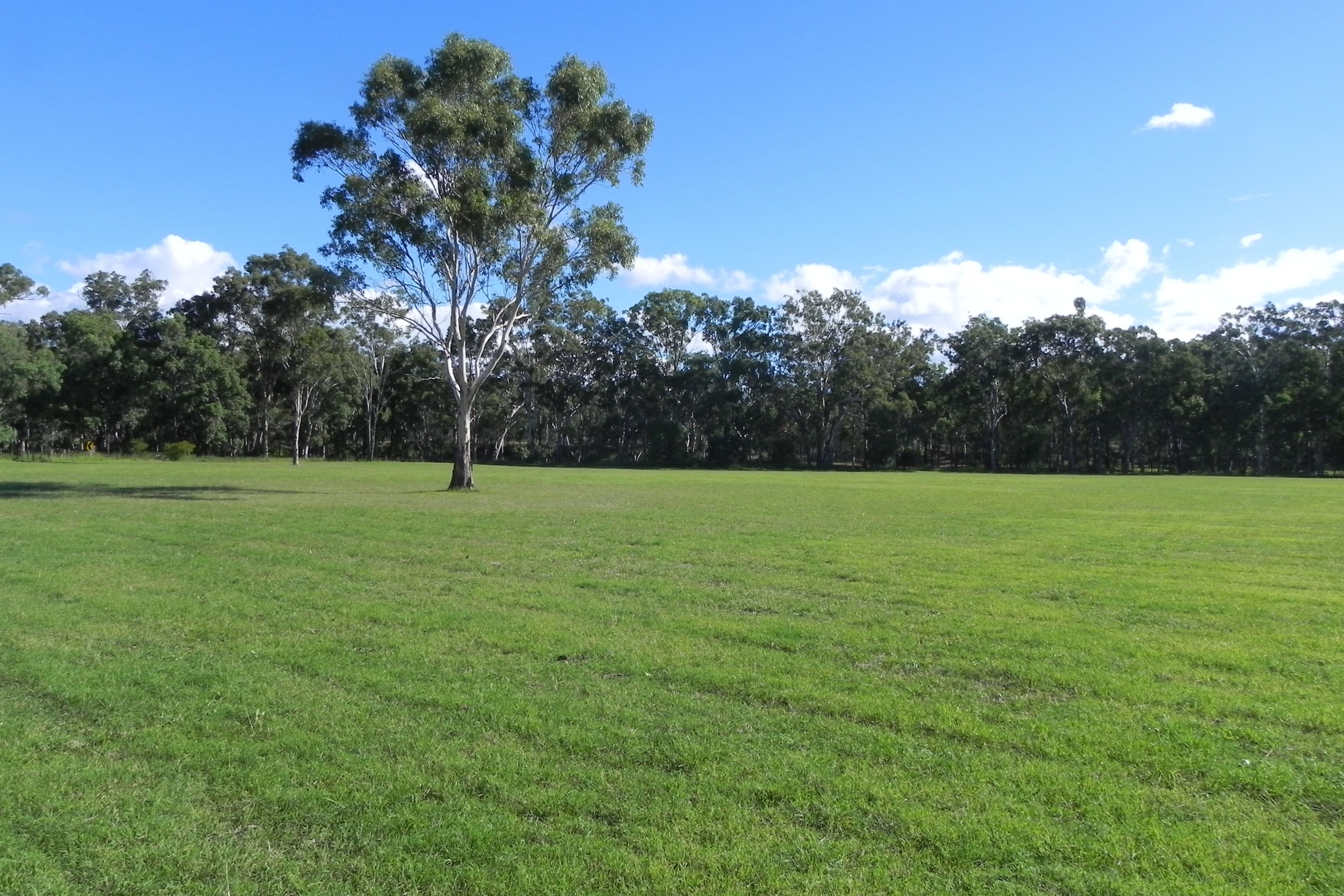 0 Tummaville Road, Leyburn QLD 4365, Leyburn - Thumbnail 4