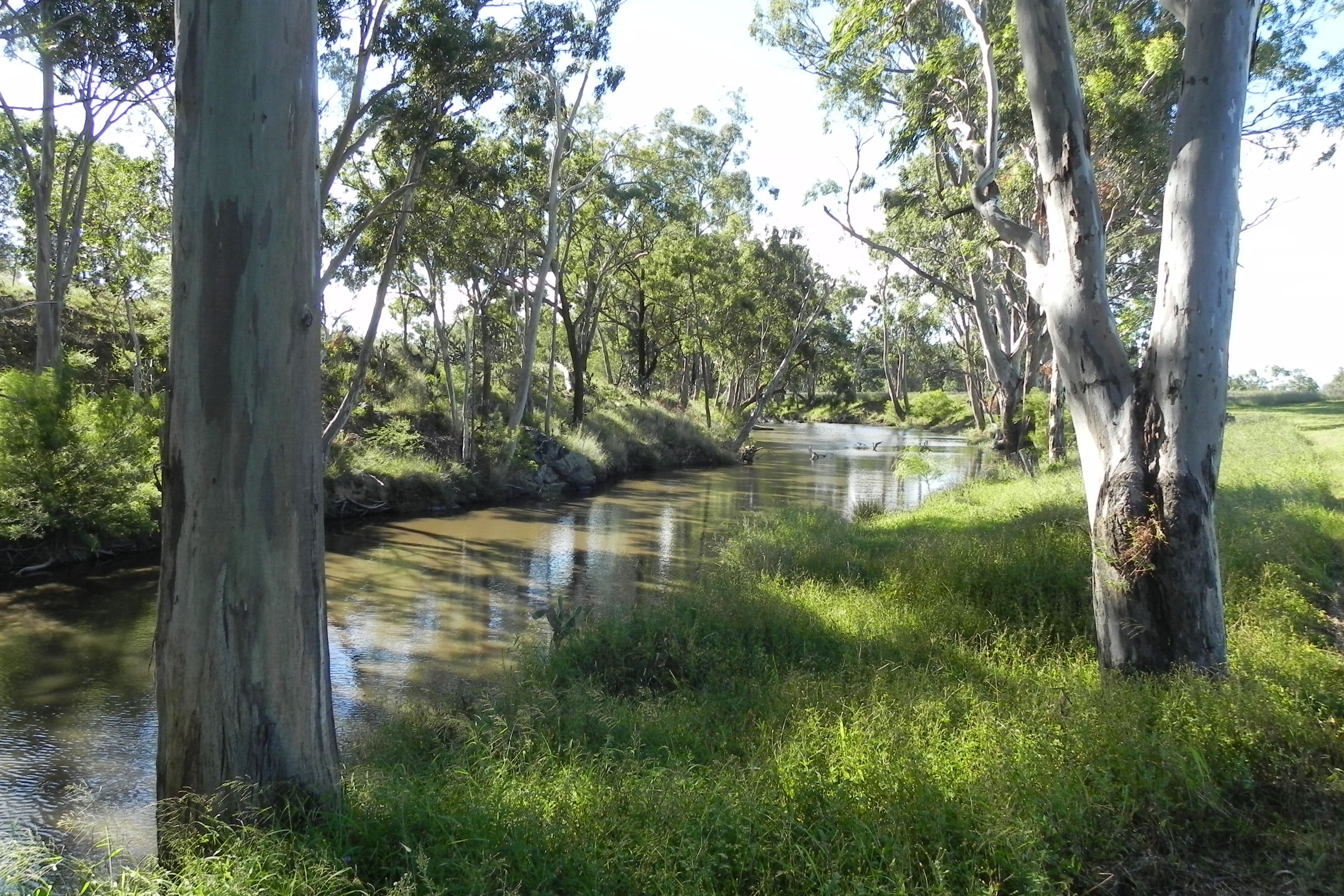 0 Tummaville Road, Leyburn QLD 4365, Leyburn - Thumbnail 6